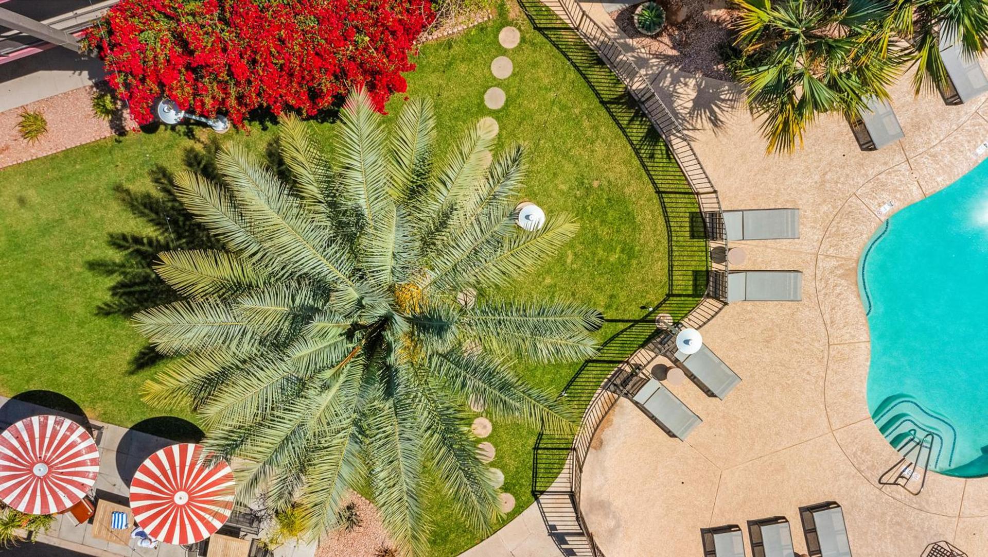Papago Scottsdale by Reside, Trademark Collection by Wyndham photo 9