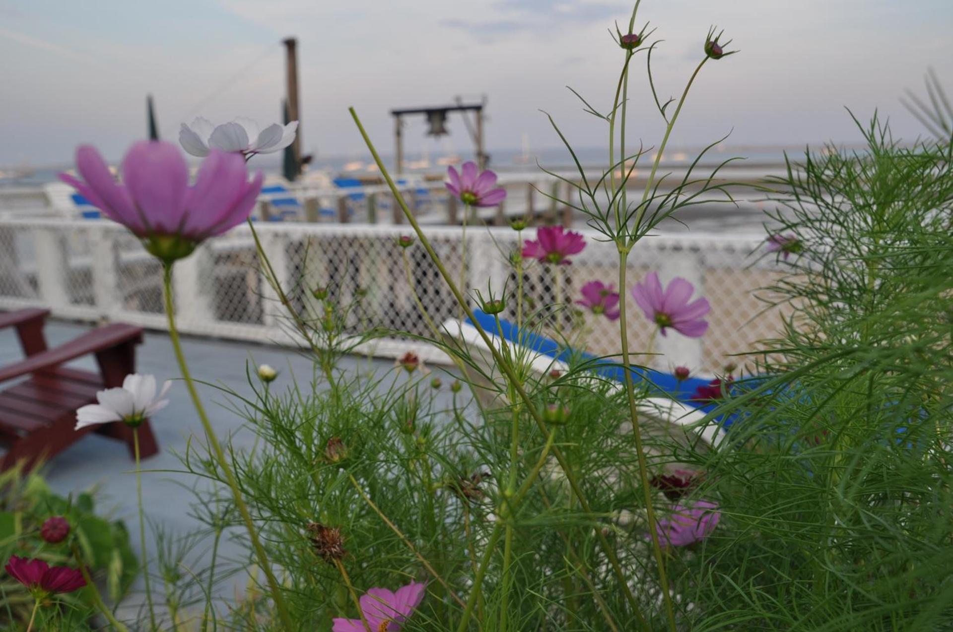 The Masthead Resort photo 15