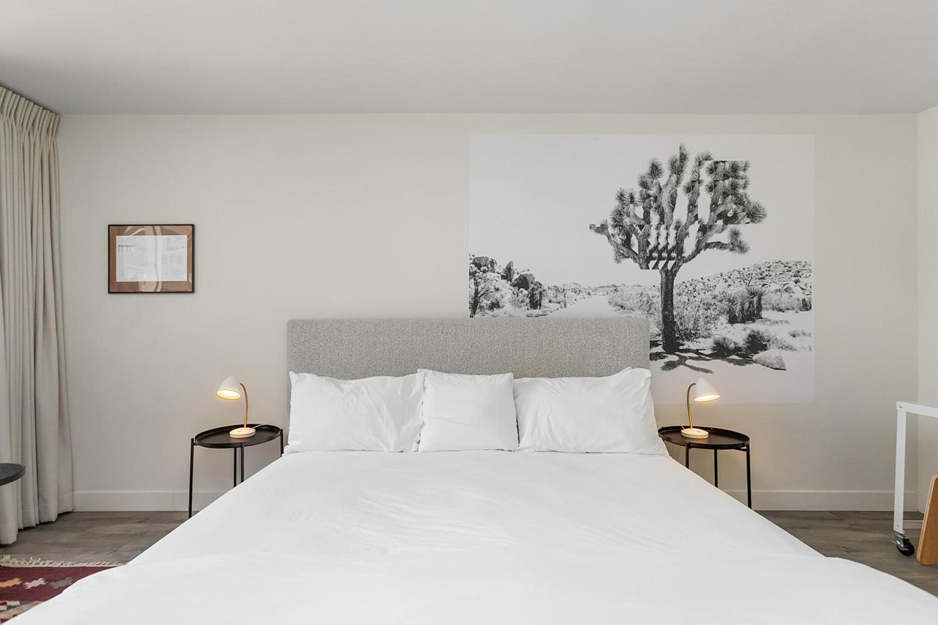 Papago Scottsdale by Reside, Trademark Collection by Wyndham photo 51