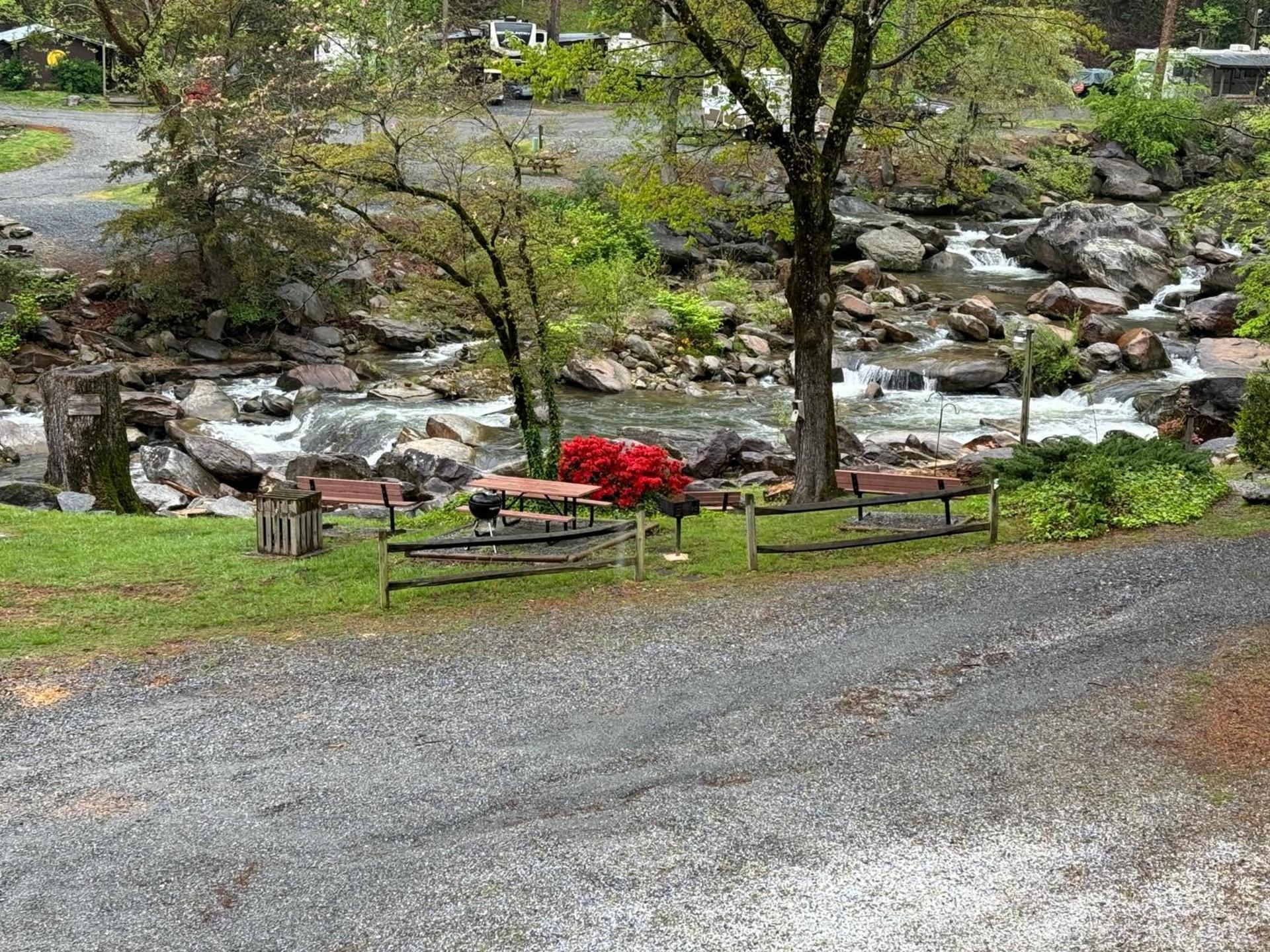 The Evening Shade River Lodge and Cabins photo 69