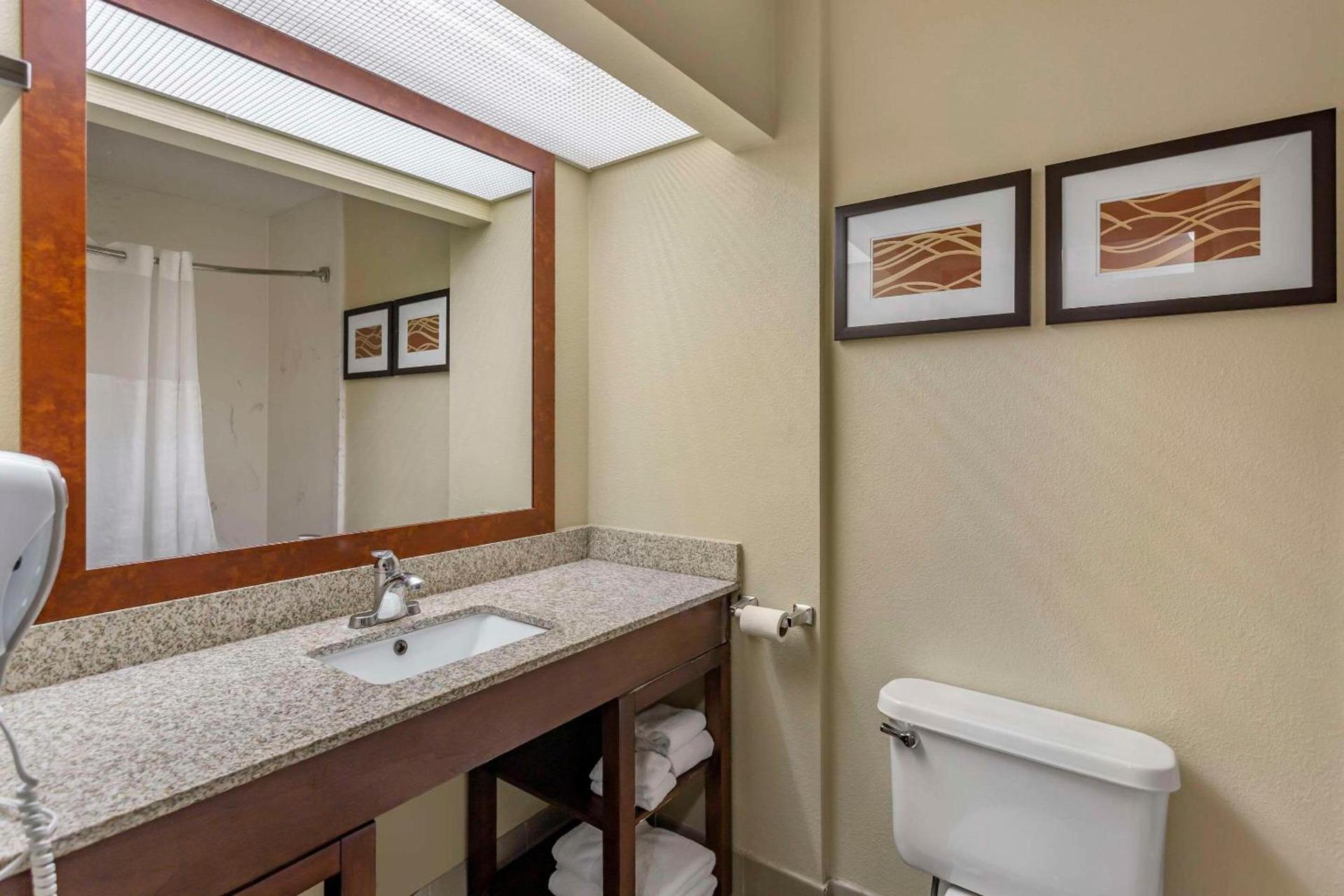 Comfort Suites Goodlettsville Rivergate photo 33