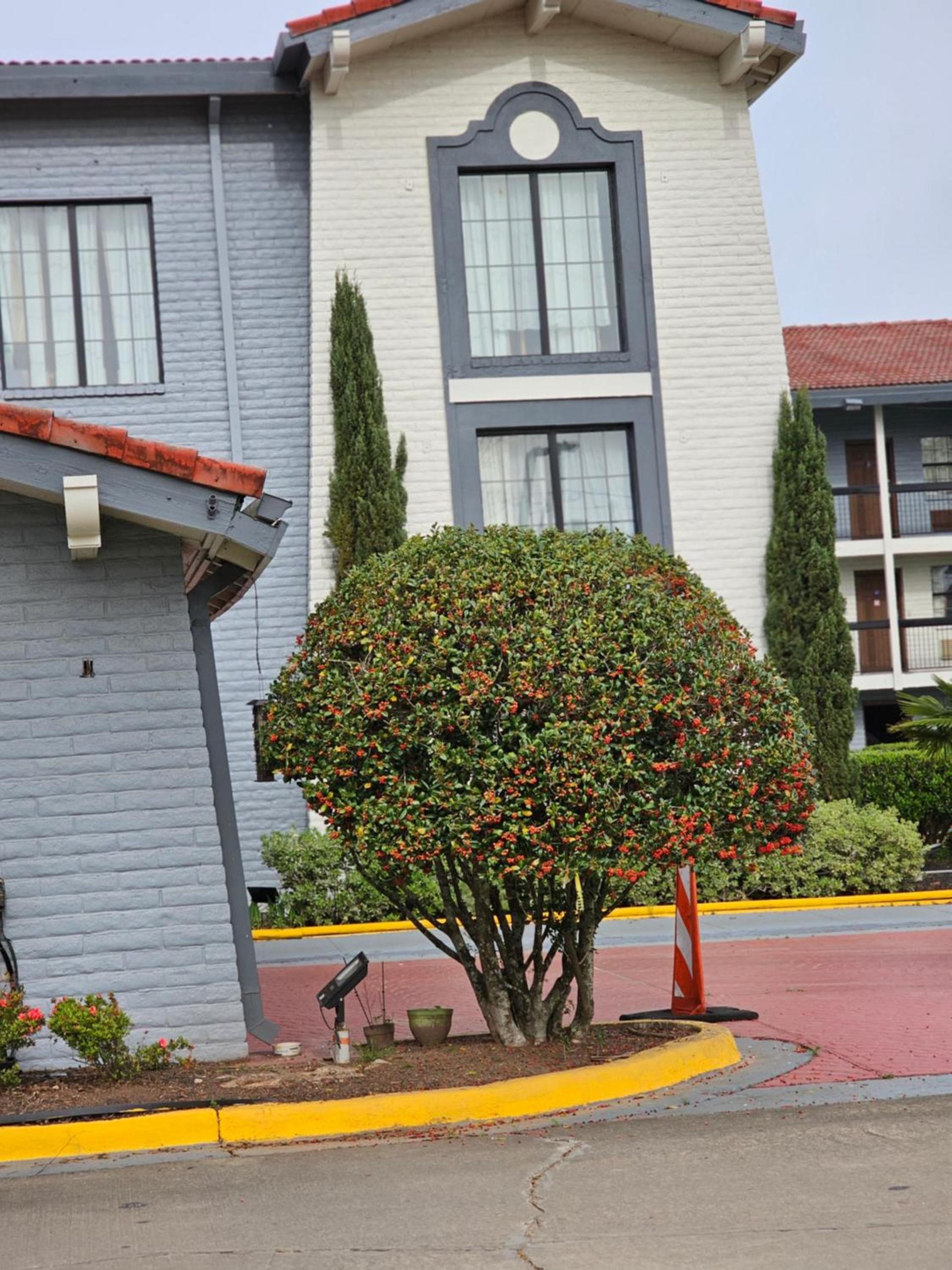 Knights Inn - Lithonia photo 98