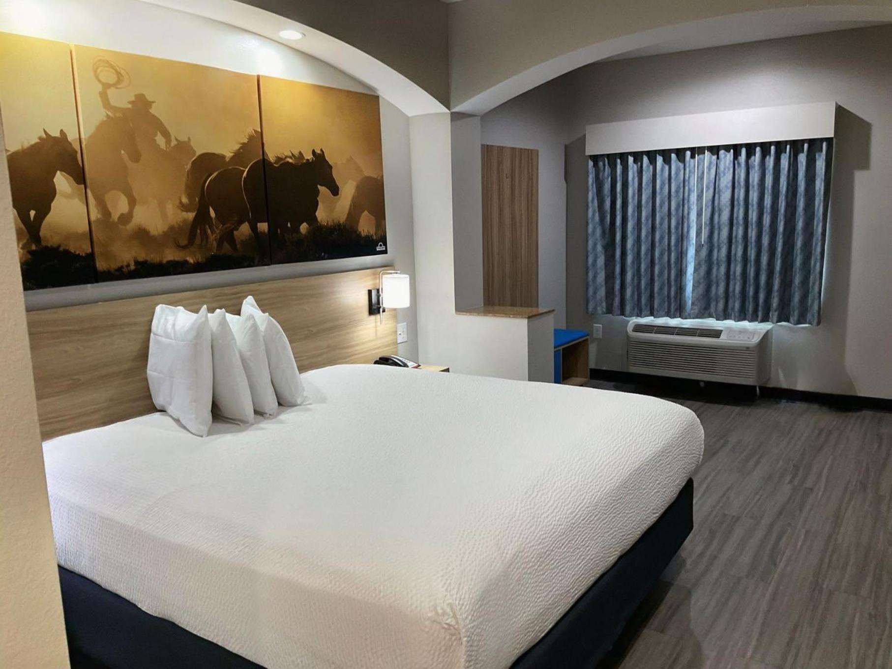Days Inn by Wyndham Humble/Houston Intercontinental Airport photo 48