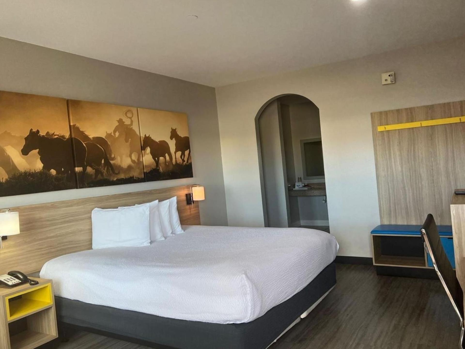 Days Inn by Wyndham Humble/Houston Intercontinental Airport photo 43