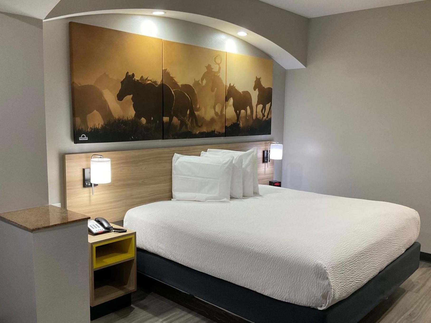 Days Inn by Wyndham Humble/Houston Intercontinental Airport photo 60
