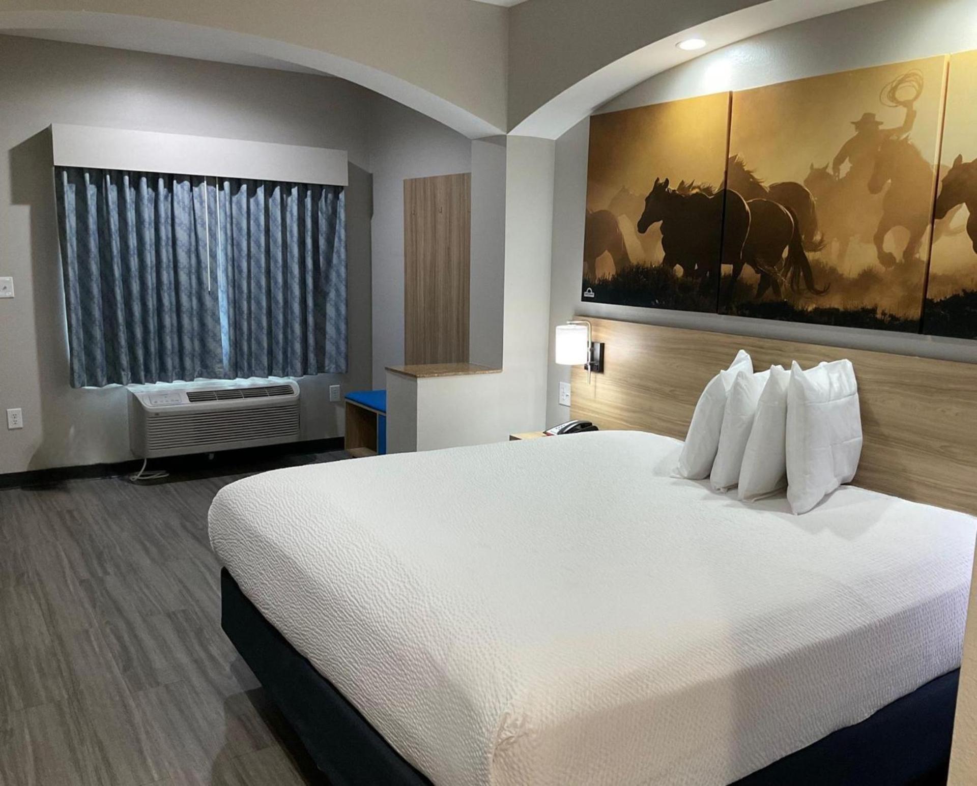 Days Inn by Wyndham Humble/Houston Intercontinental Airport photo 63