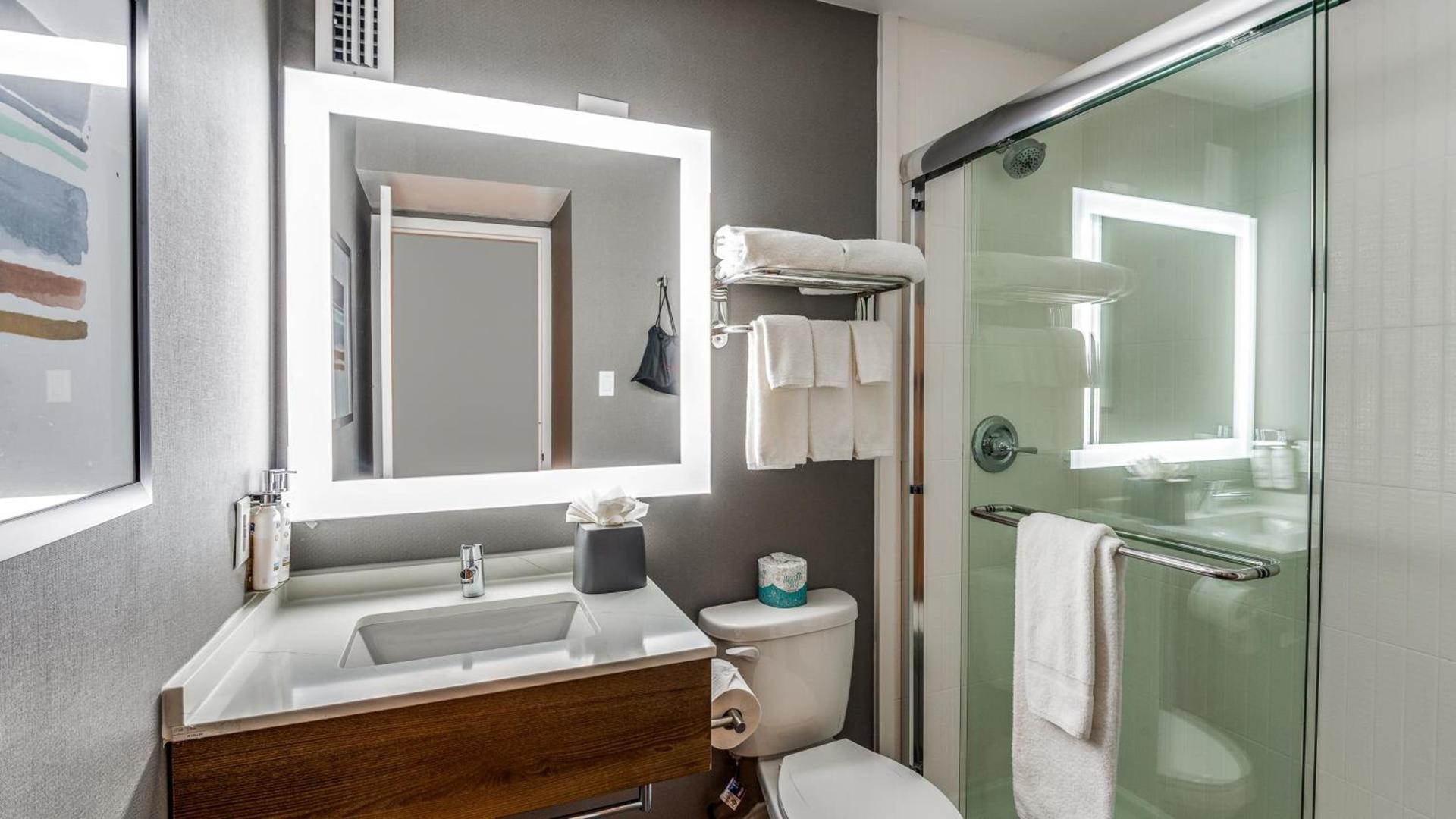 Staybridge Suites Dallas Market Ctr Love Field by IHG photo 56
