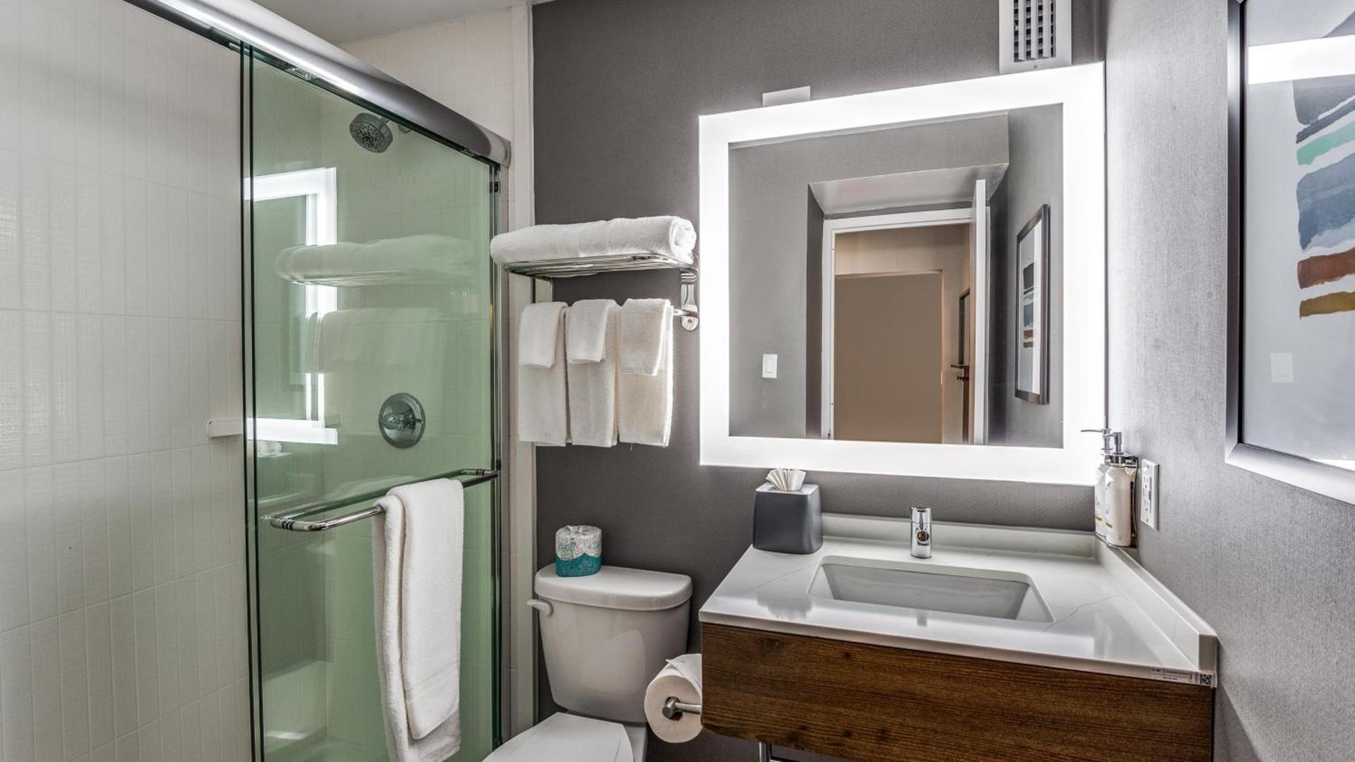 Staybridge Suites Dallas Market Ctr Love Field by IHG photo 71