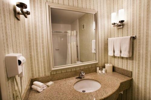 Hilton Garden Inn Oakbrook Terrace photo 7