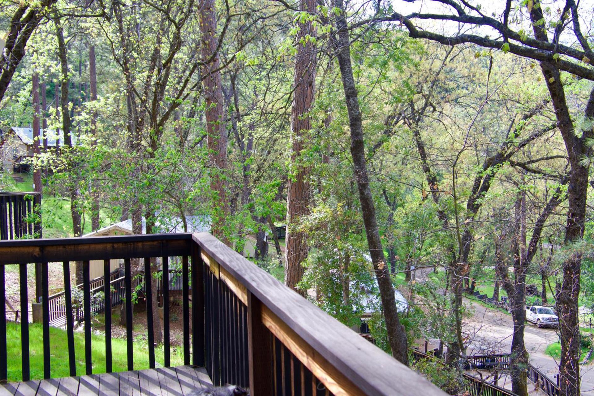 Yosemite Bug Rustic Mountain Resort photo 47