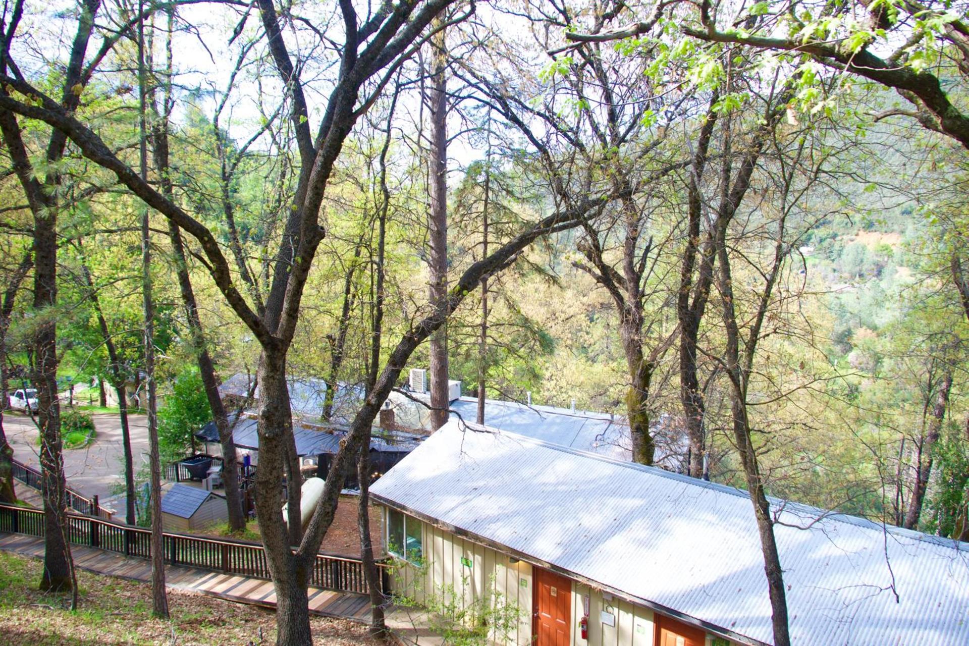 Yosemite Bug Rustic Mountain Resort photo 52
