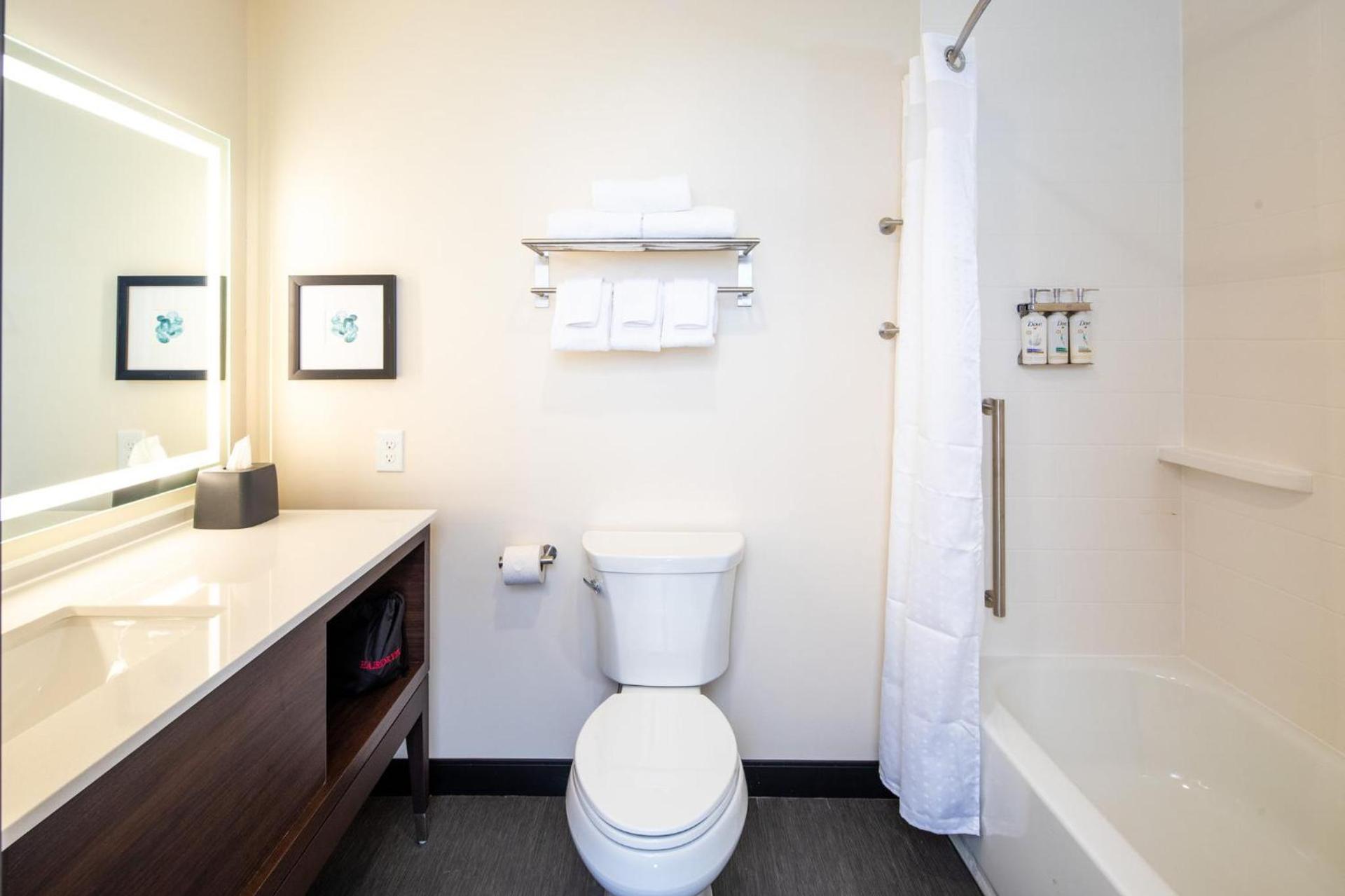 Holiday Inn & Suites Detroit - Troy by IHG photo 70