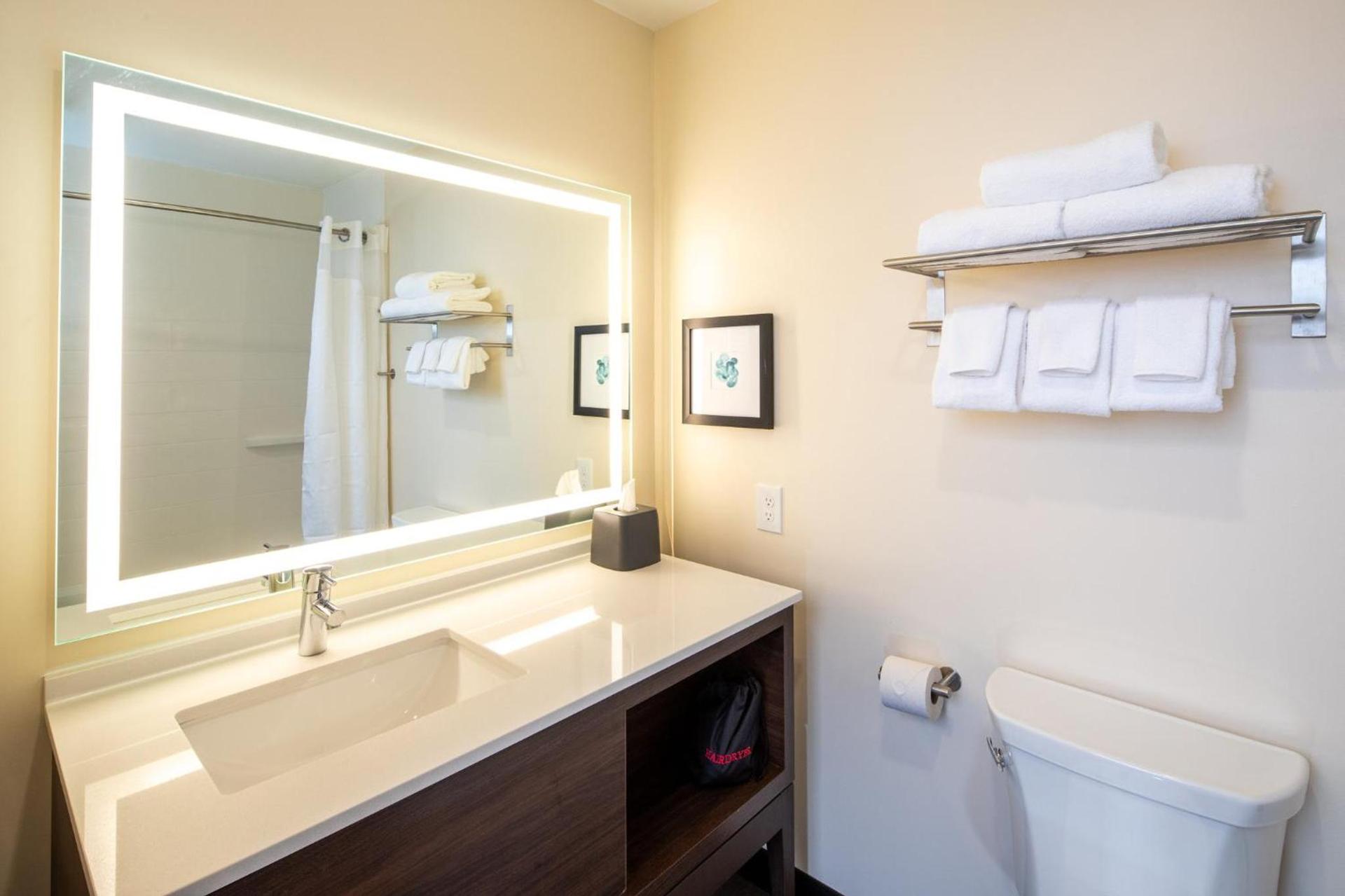 Holiday Inn & Suites Detroit - Troy by IHG photo 80