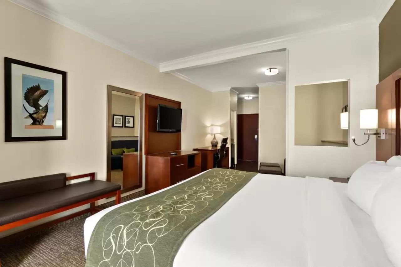 Comfort Suites Corpus Christi Central photo 5