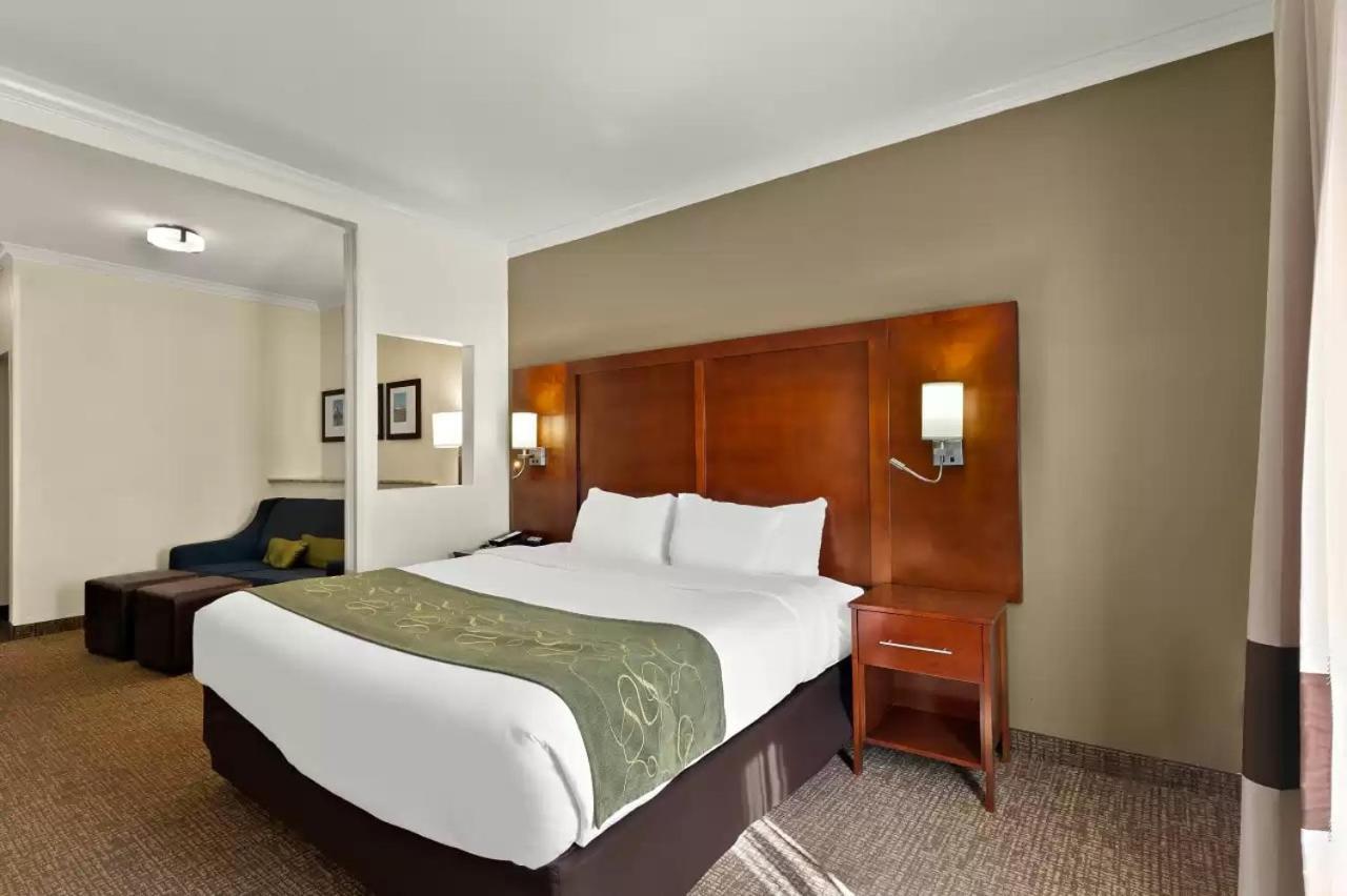 Comfort Suites Corpus Christi Central photo 3