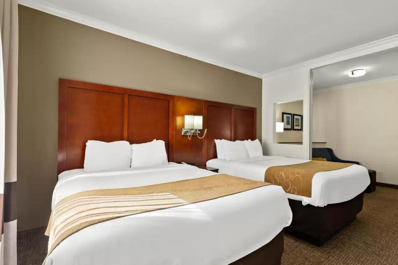 Comfort Suites Corpus Christi Central photo 8