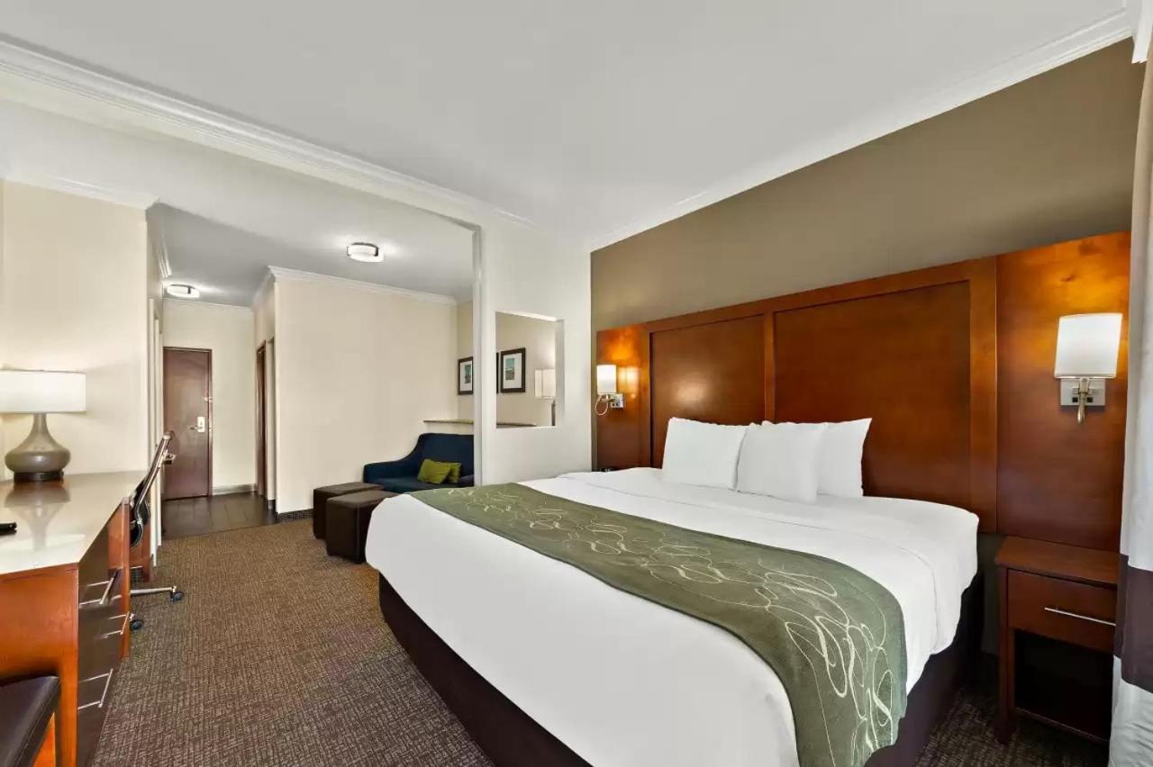 Comfort Suites Corpus Christi Central photo 12