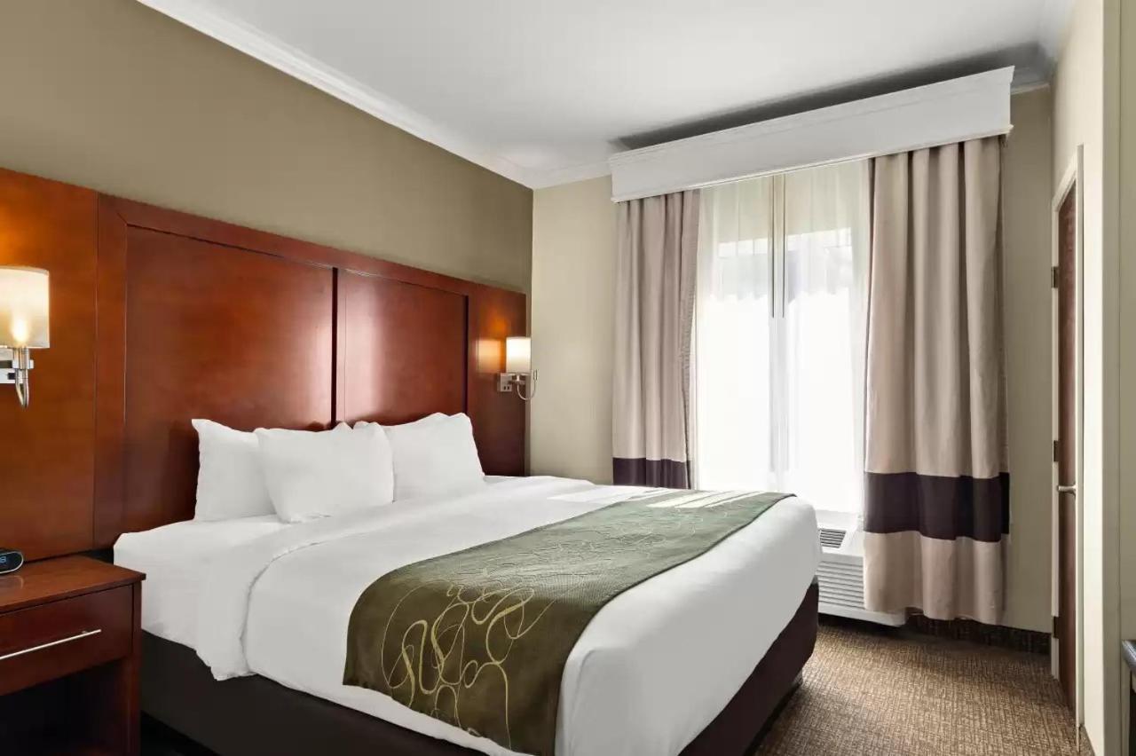 Comfort Suites Corpus Christi Central photo 20