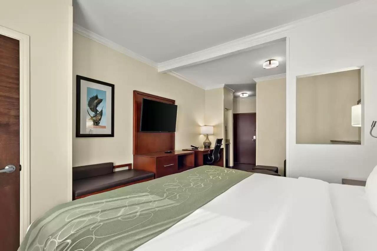 Comfort Suites Corpus Christi Central photo 21