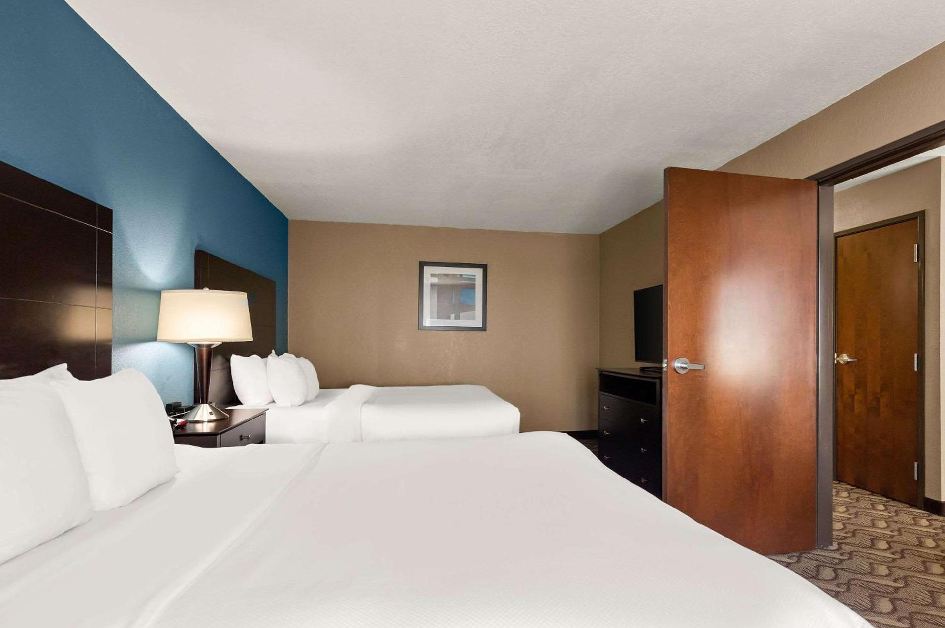 Comfort Inn & Suites Springfield I-55 photo 22