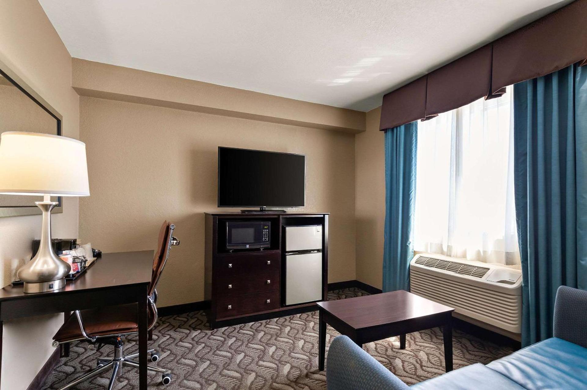 Comfort Inn & Suites Springfield I-55 photo 23