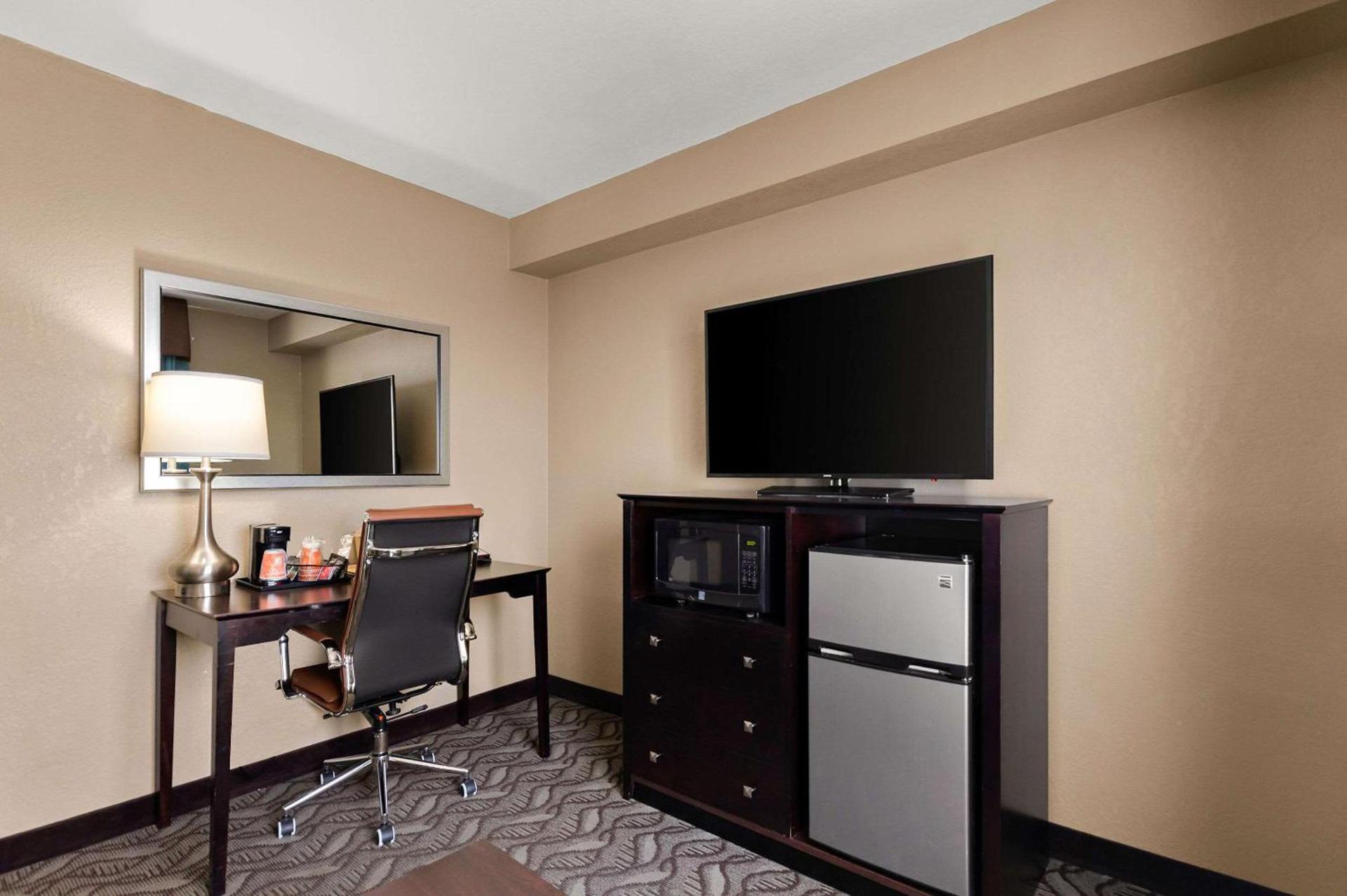 Comfort Inn & Suites Springfield I-55 photo 26
