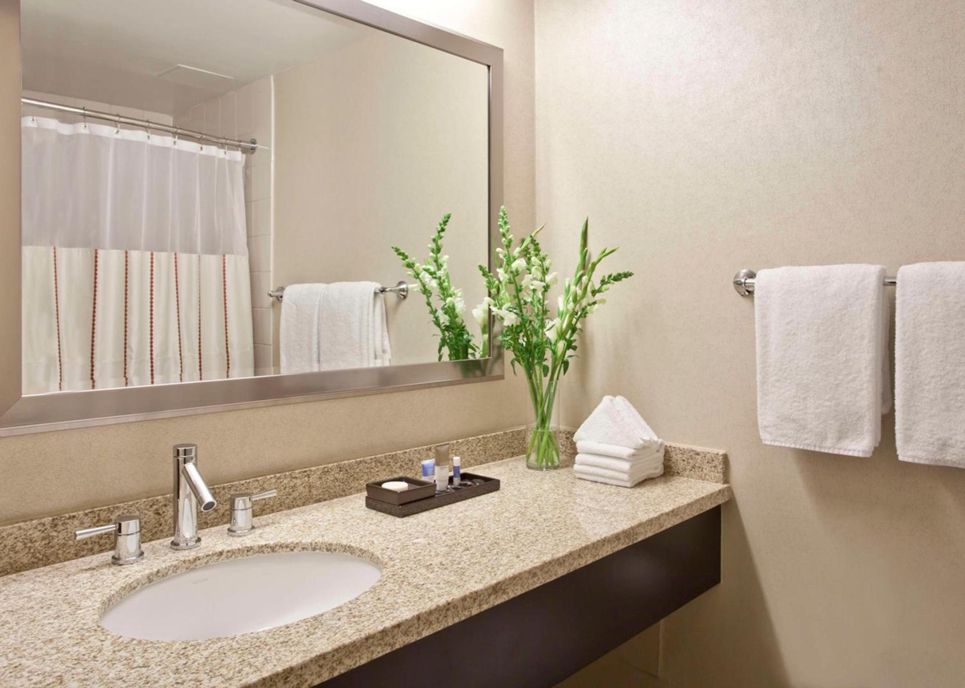 Hyatt Regency O'Hare Chicago photo 6