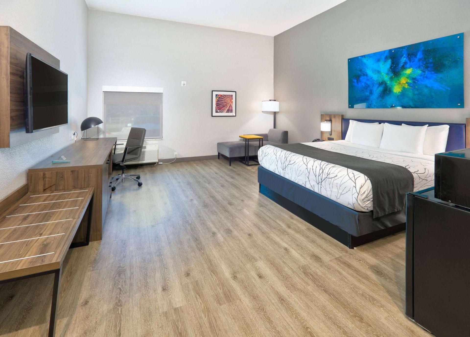 La Quinta Inn & Suites by Wyndham Dallas/Fairpark photo 28