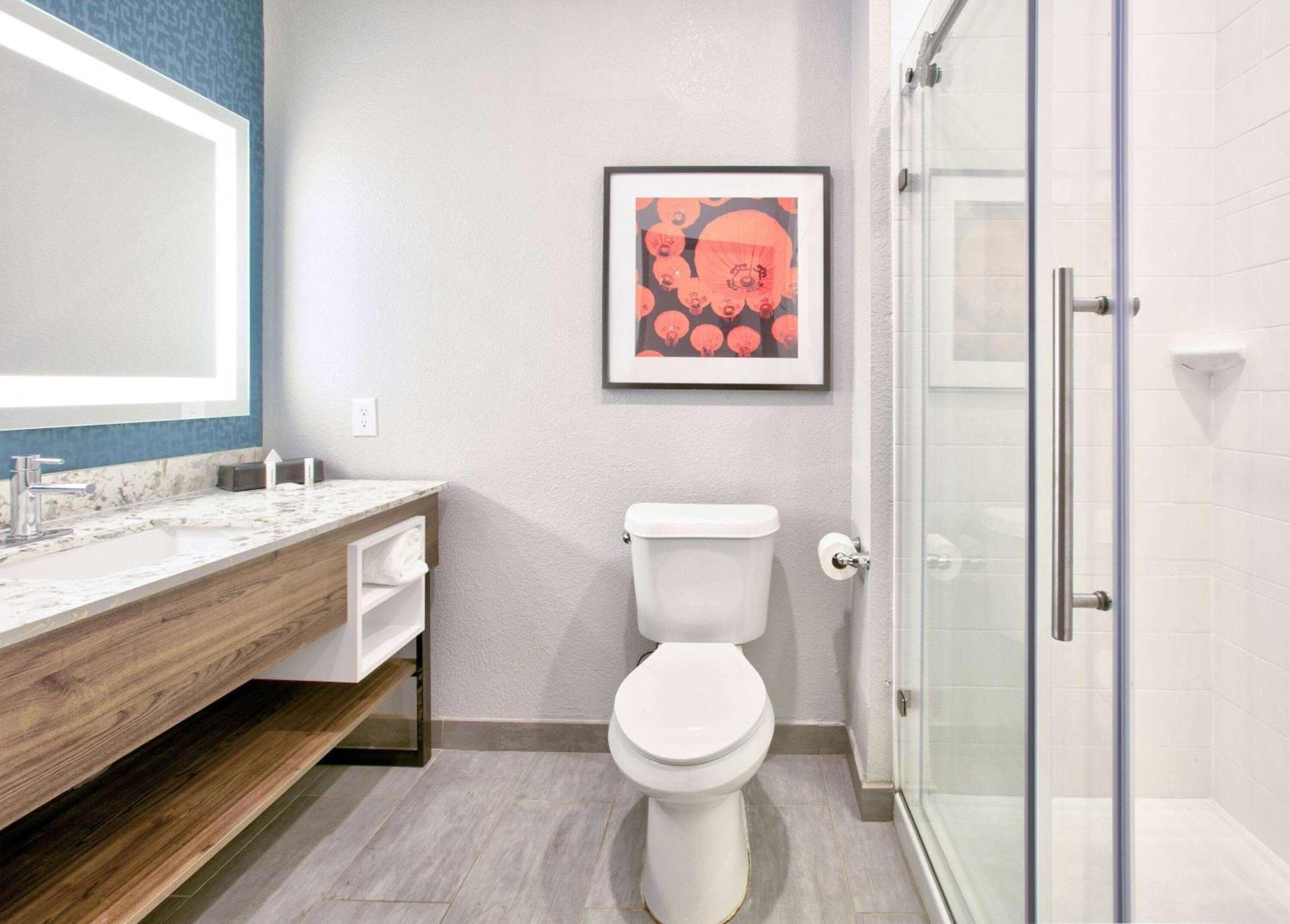 La Quinta Inn & Suites by Wyndham Dallas/Fairpark photo 49