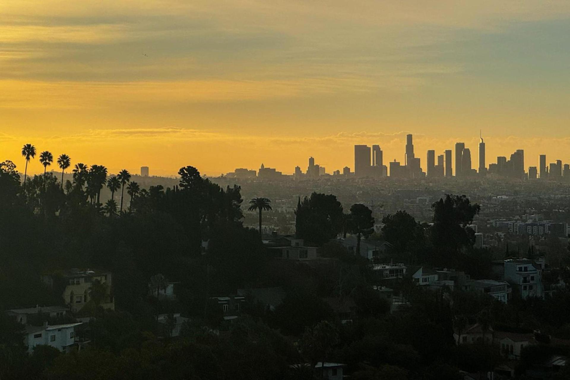 W Hollywood photo 13