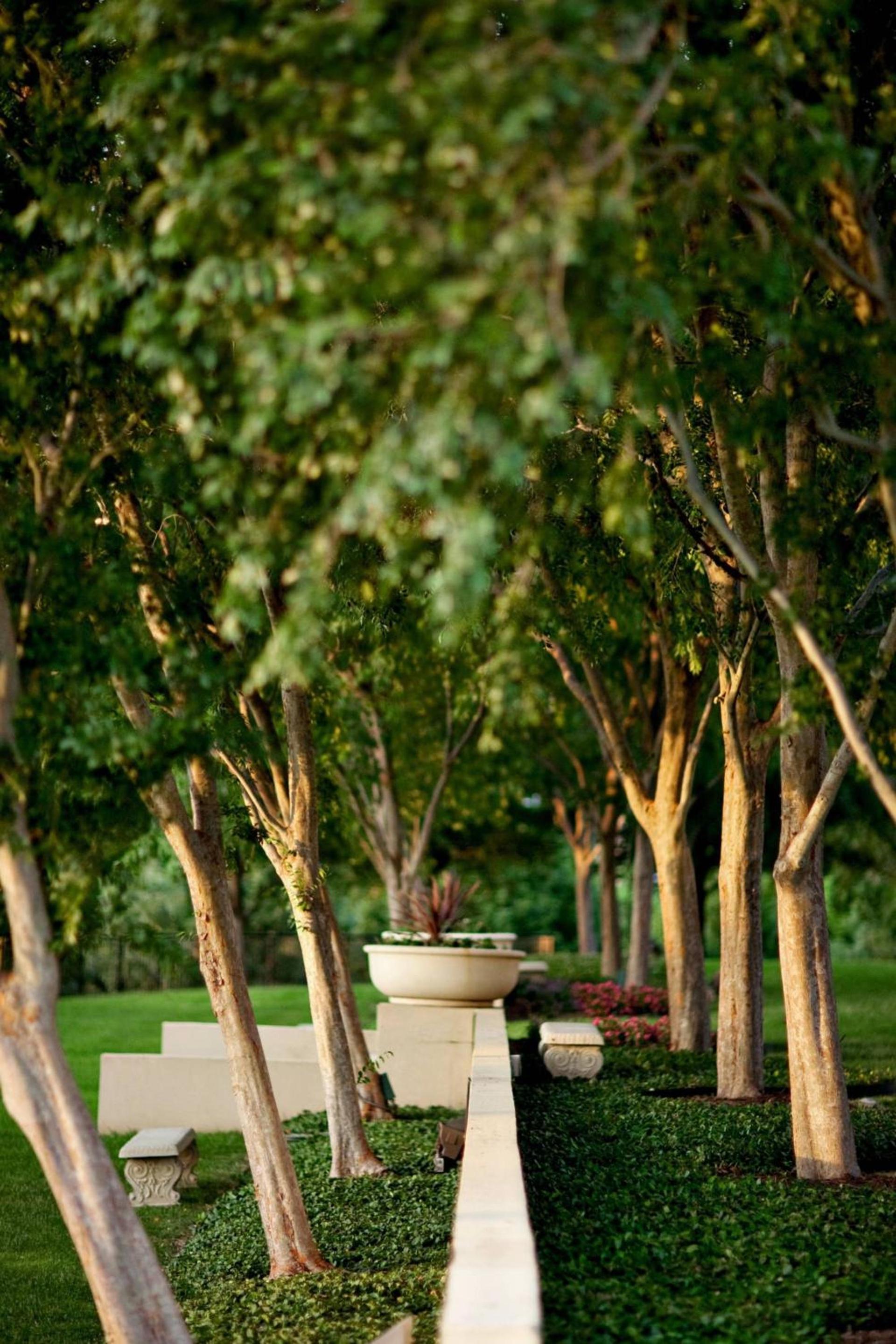 The Westin Dallas Stonebriar Golf Resort & Spa photo 21