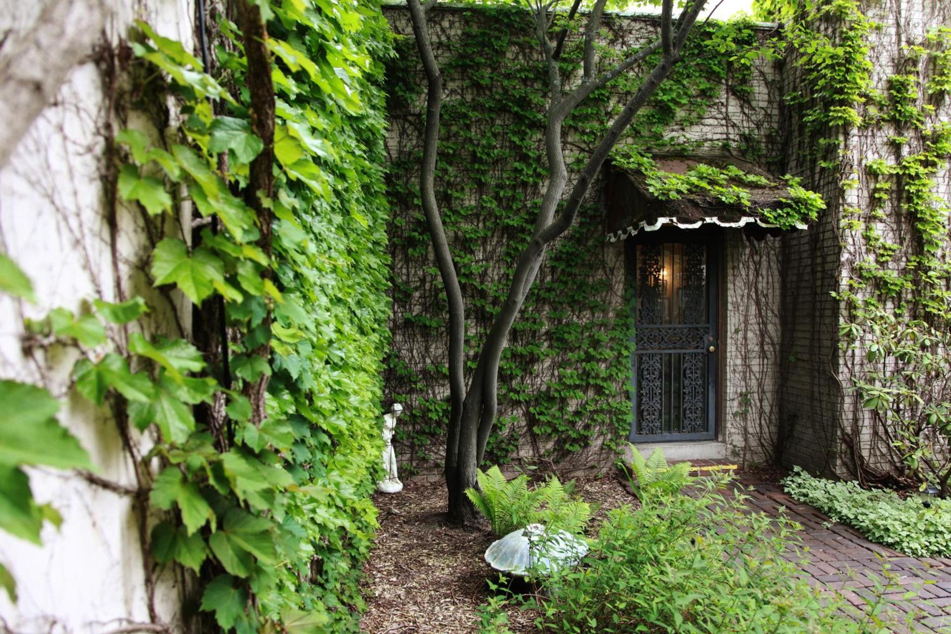 The Winter Inn photo 7