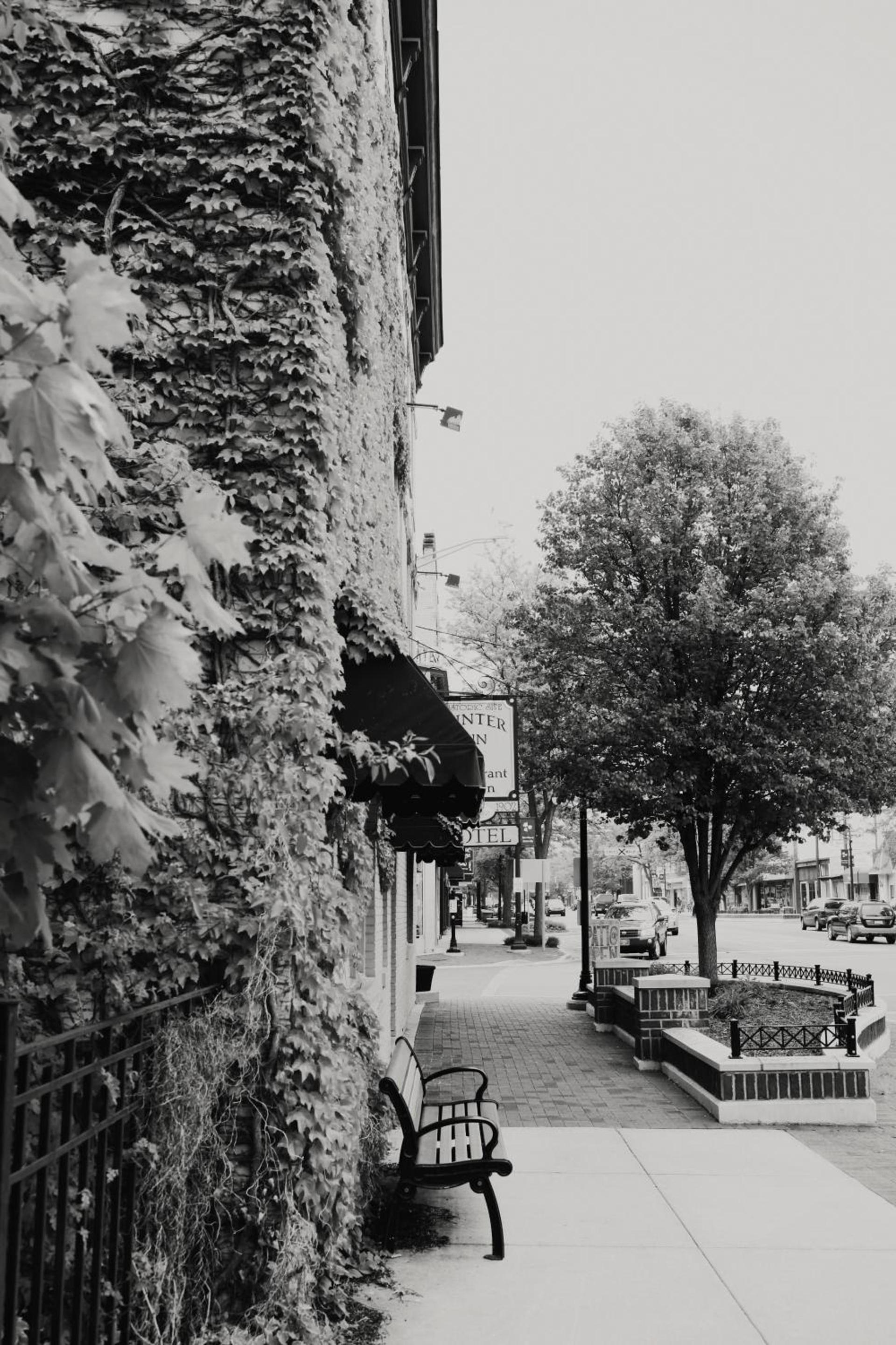The Winter Inn photo 2