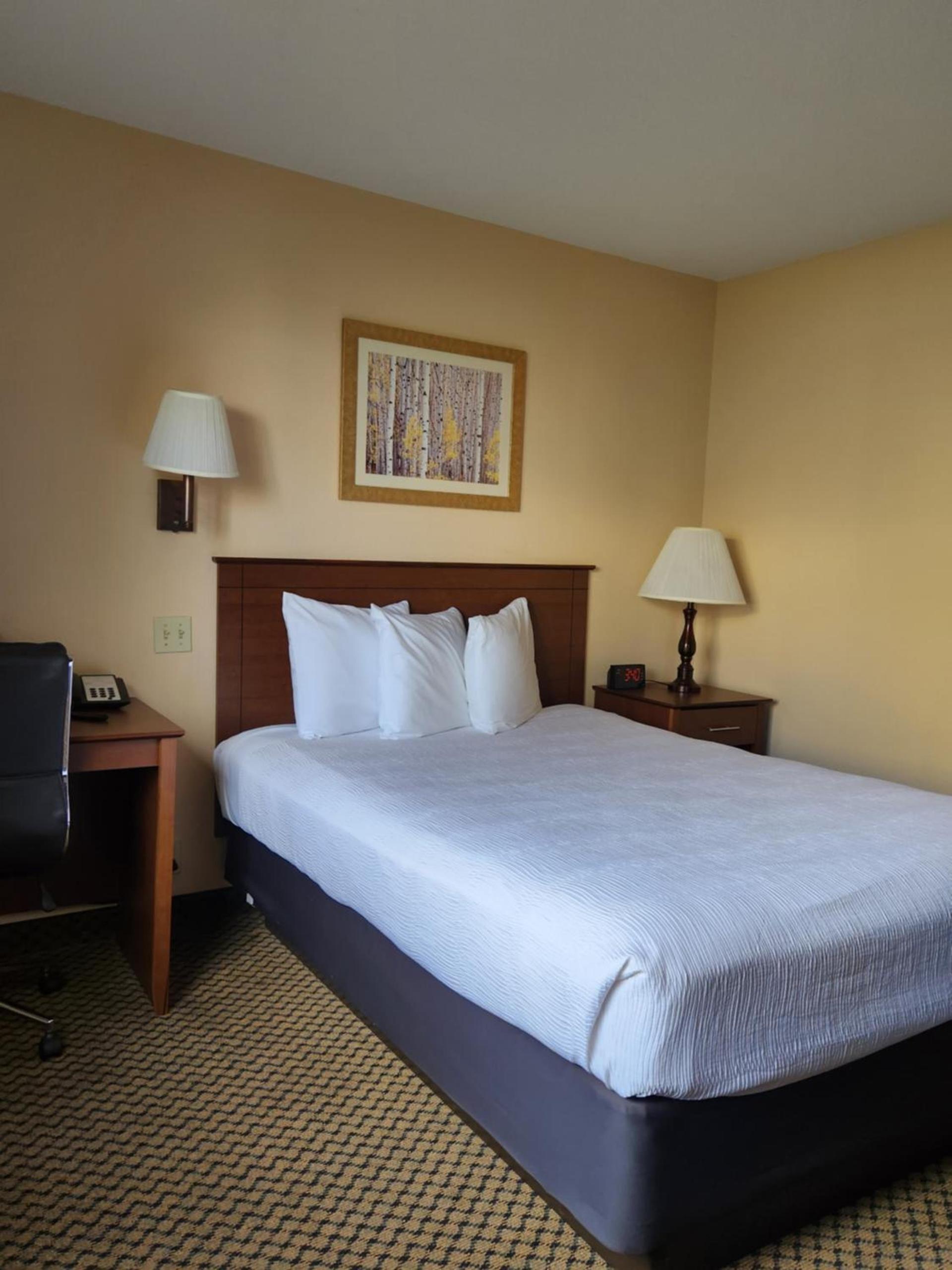 Luxury Inn & Suites photo 17
