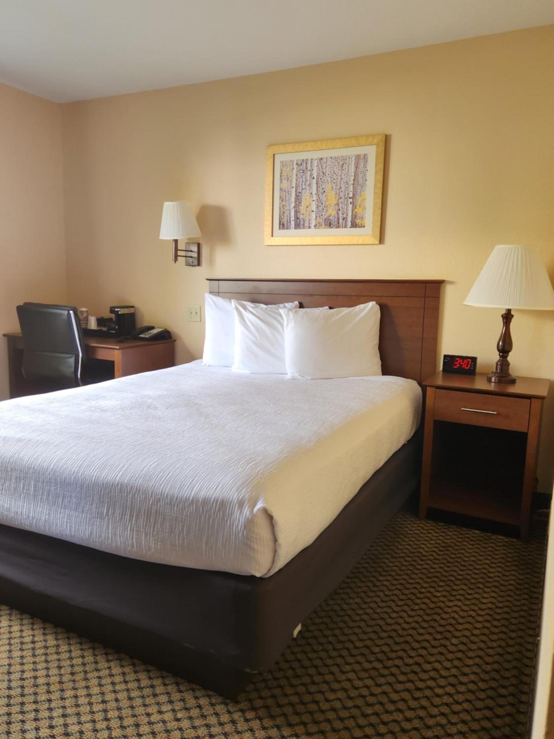 Luxury Inn & Suites photo 24
