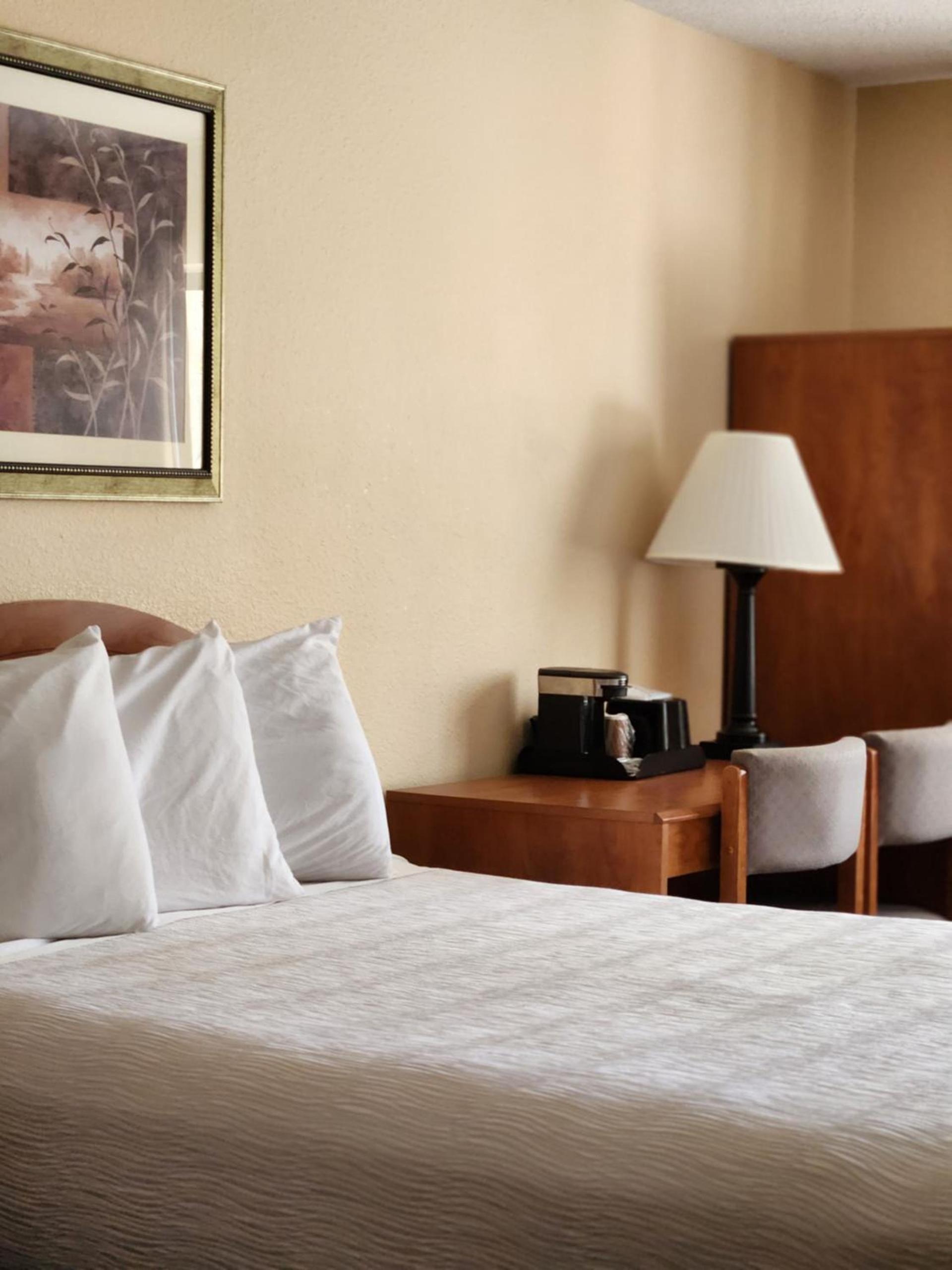 Luxury Inn & Suites photo 52