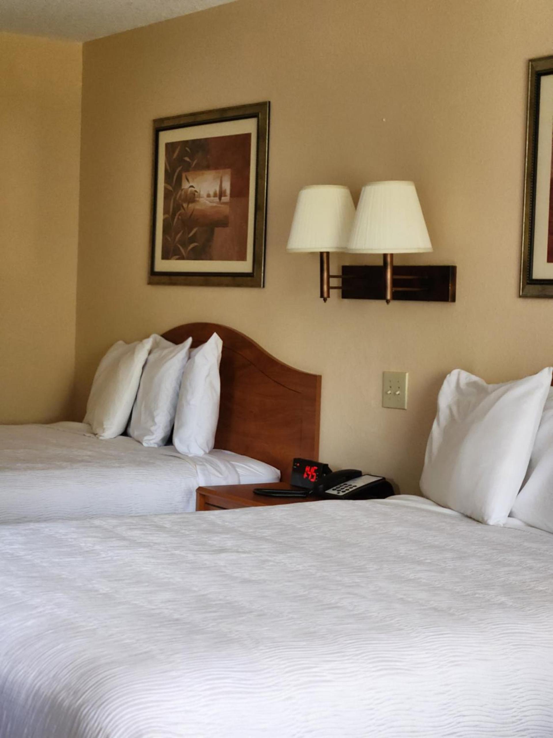 Luxury Inn & Suites photo 34