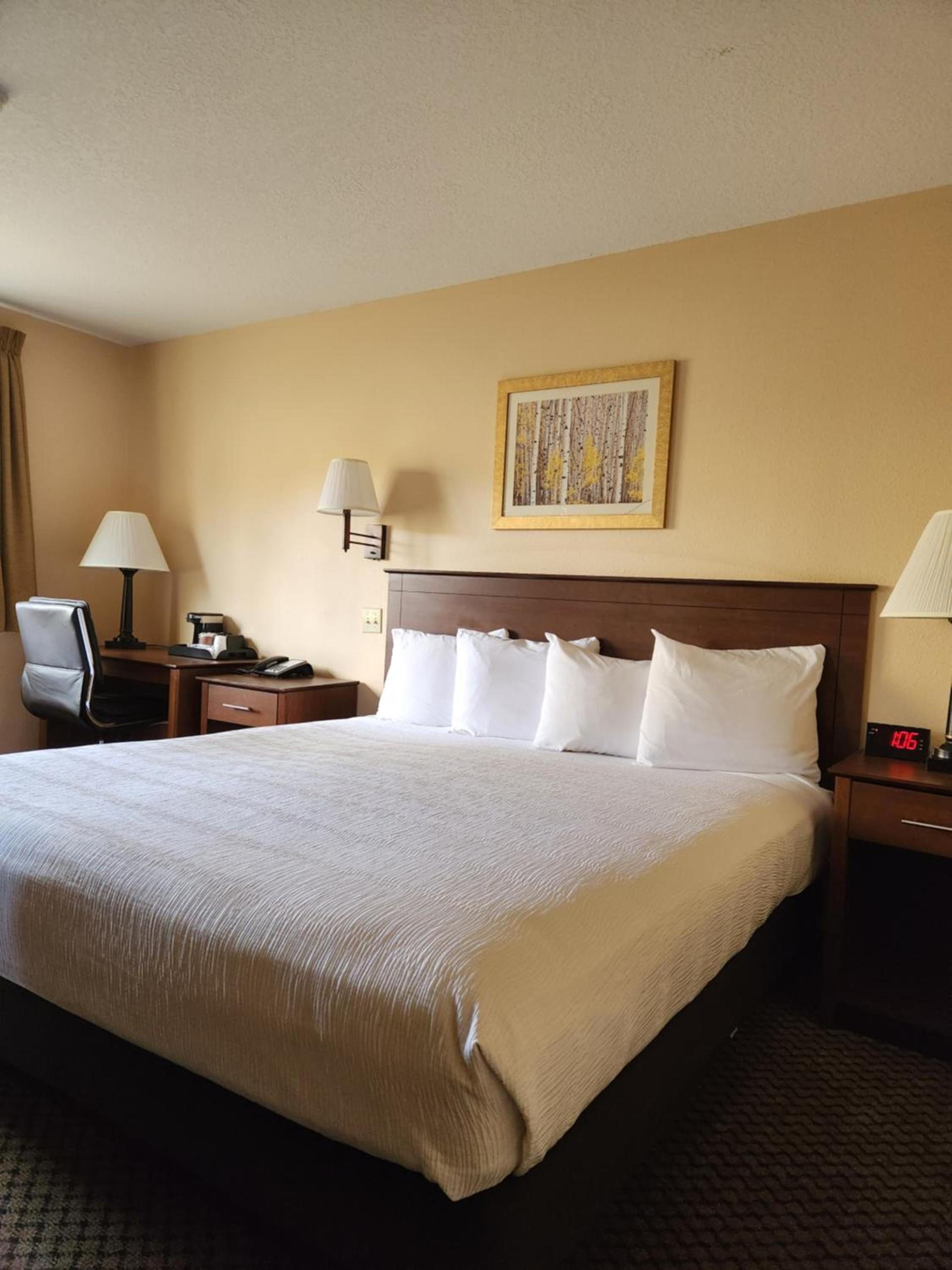 Luxury Inn & Suites photo 43