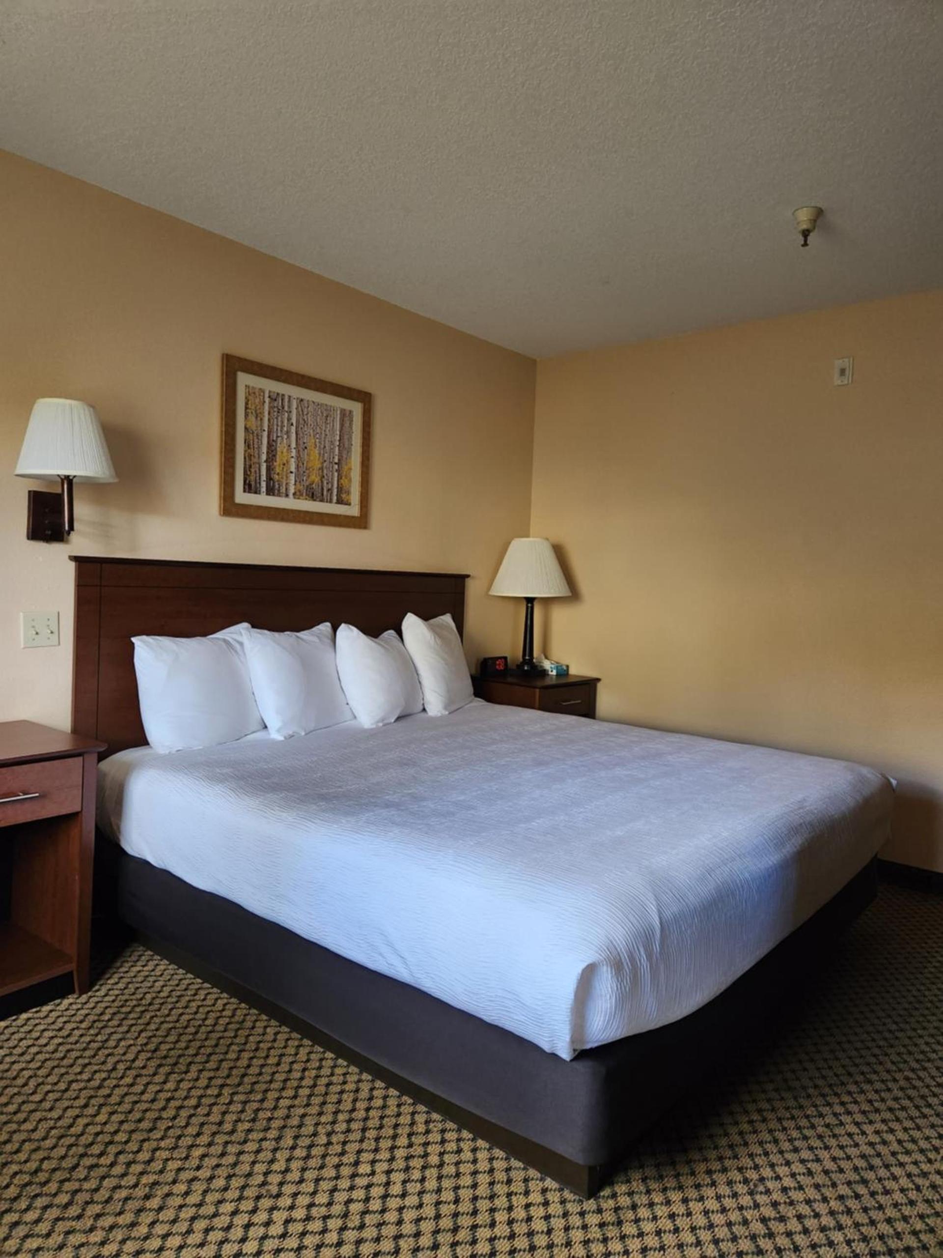 Luxury Inn & Suites photo 44