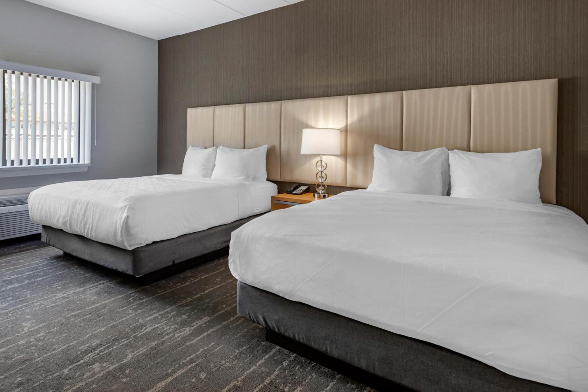 Amwell Suites photo 8