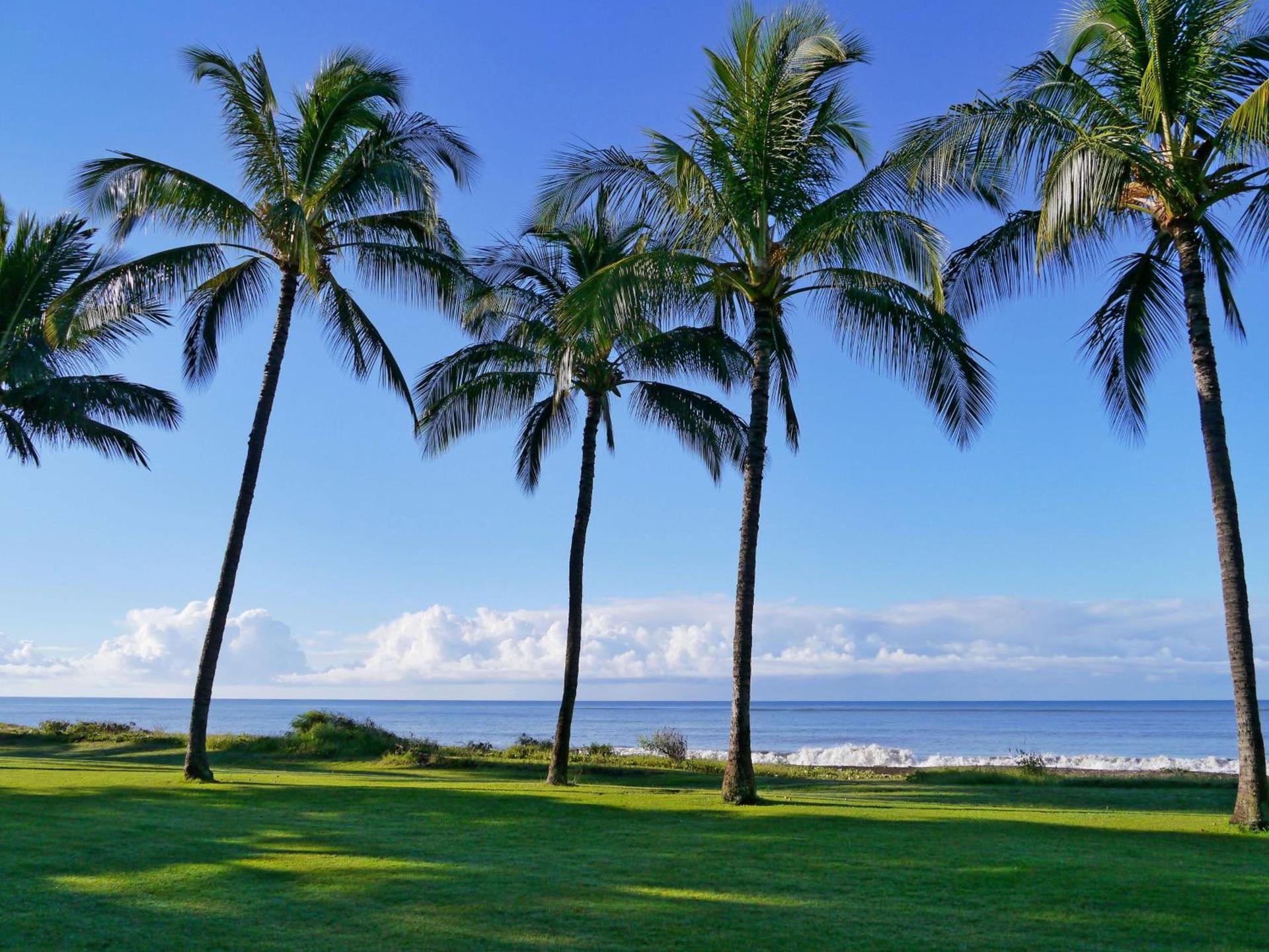 Waimea Plantation Cottages, a Coast Resort photo 28