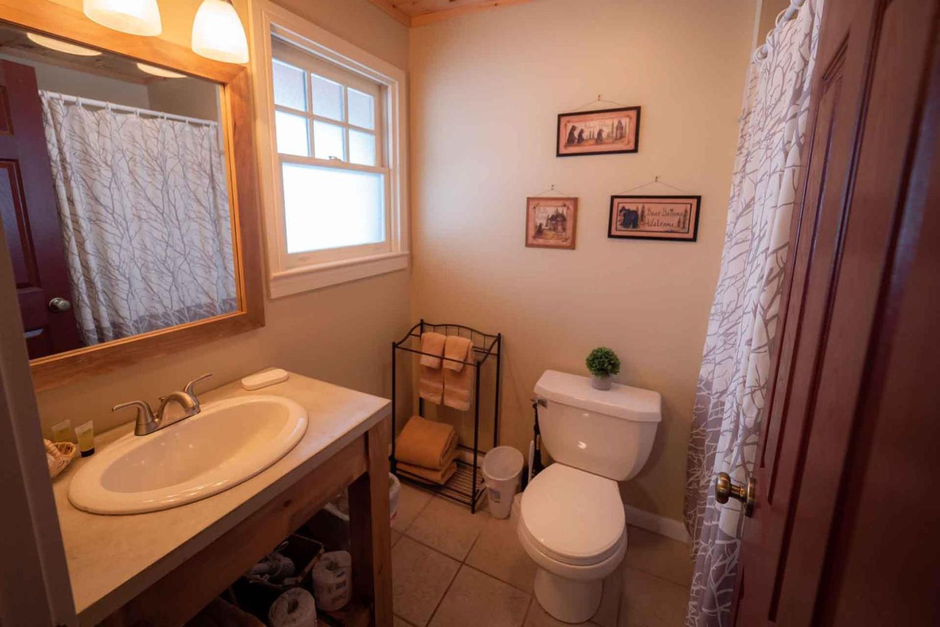 The Snowshoe Lodge photo 6