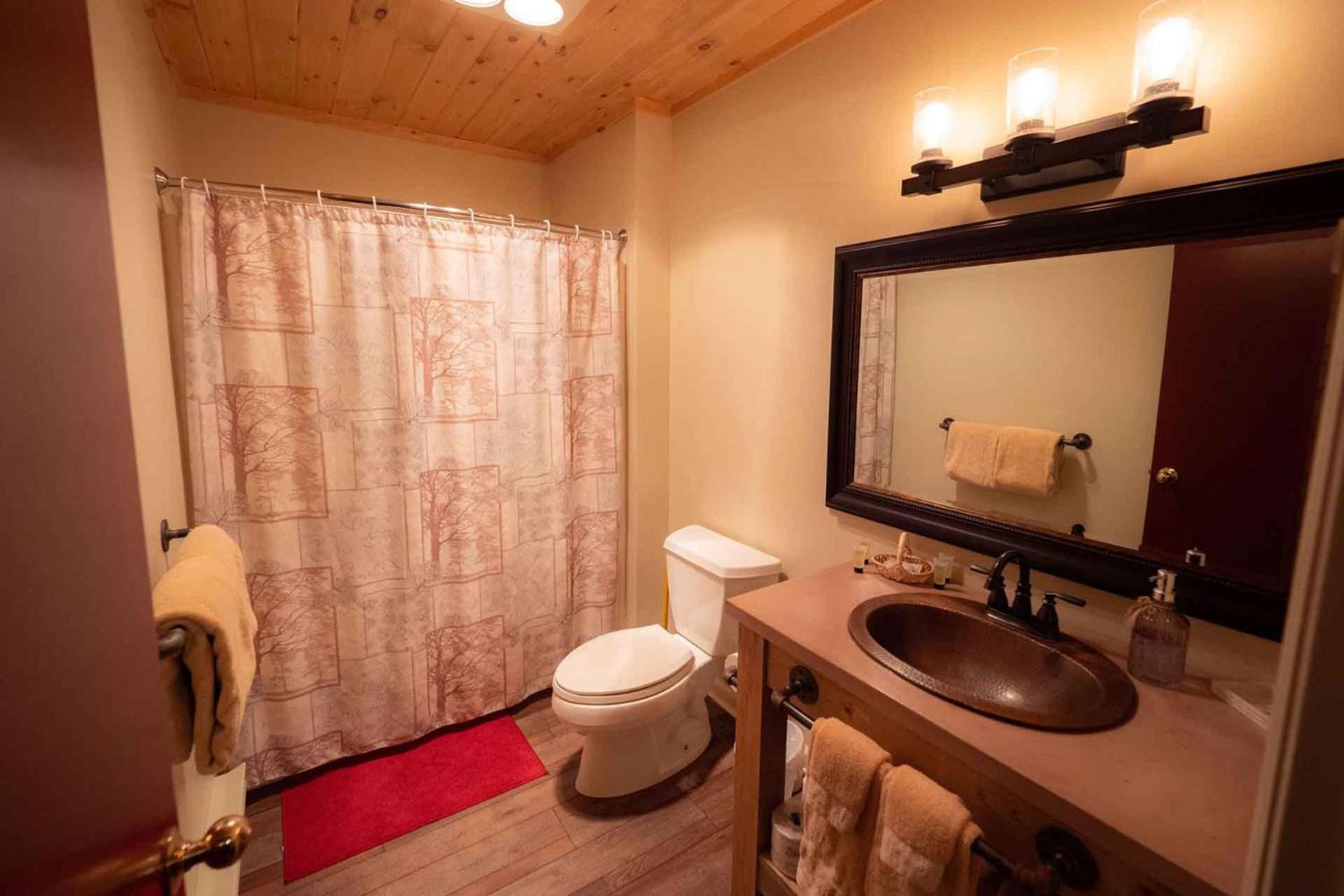 The Snowshoe Lodge photo 14