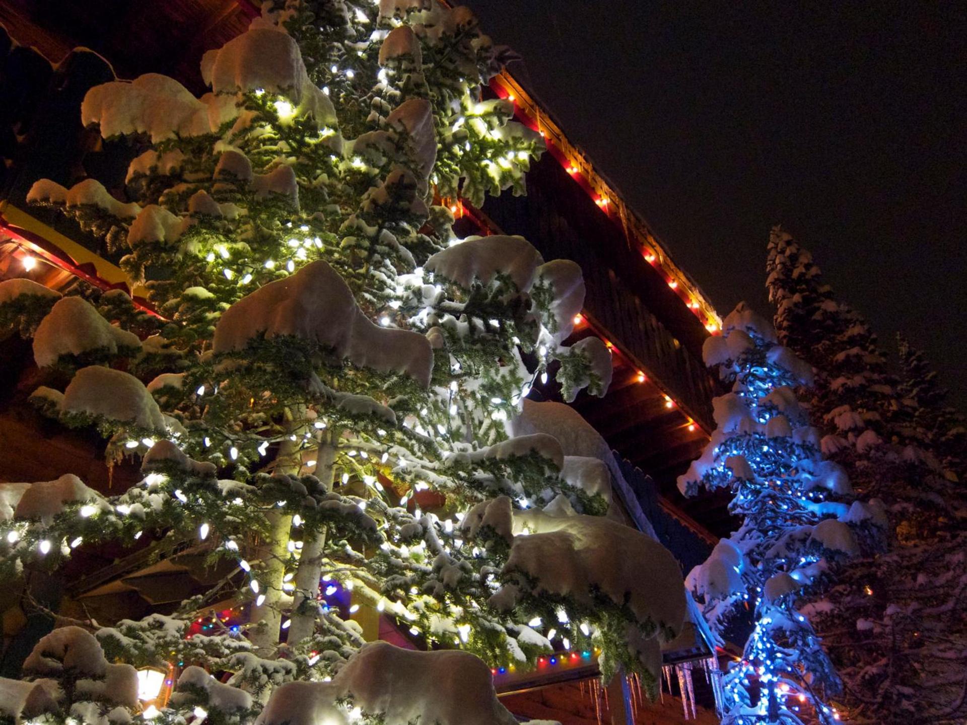 Chateau Apres Lodge photo 14