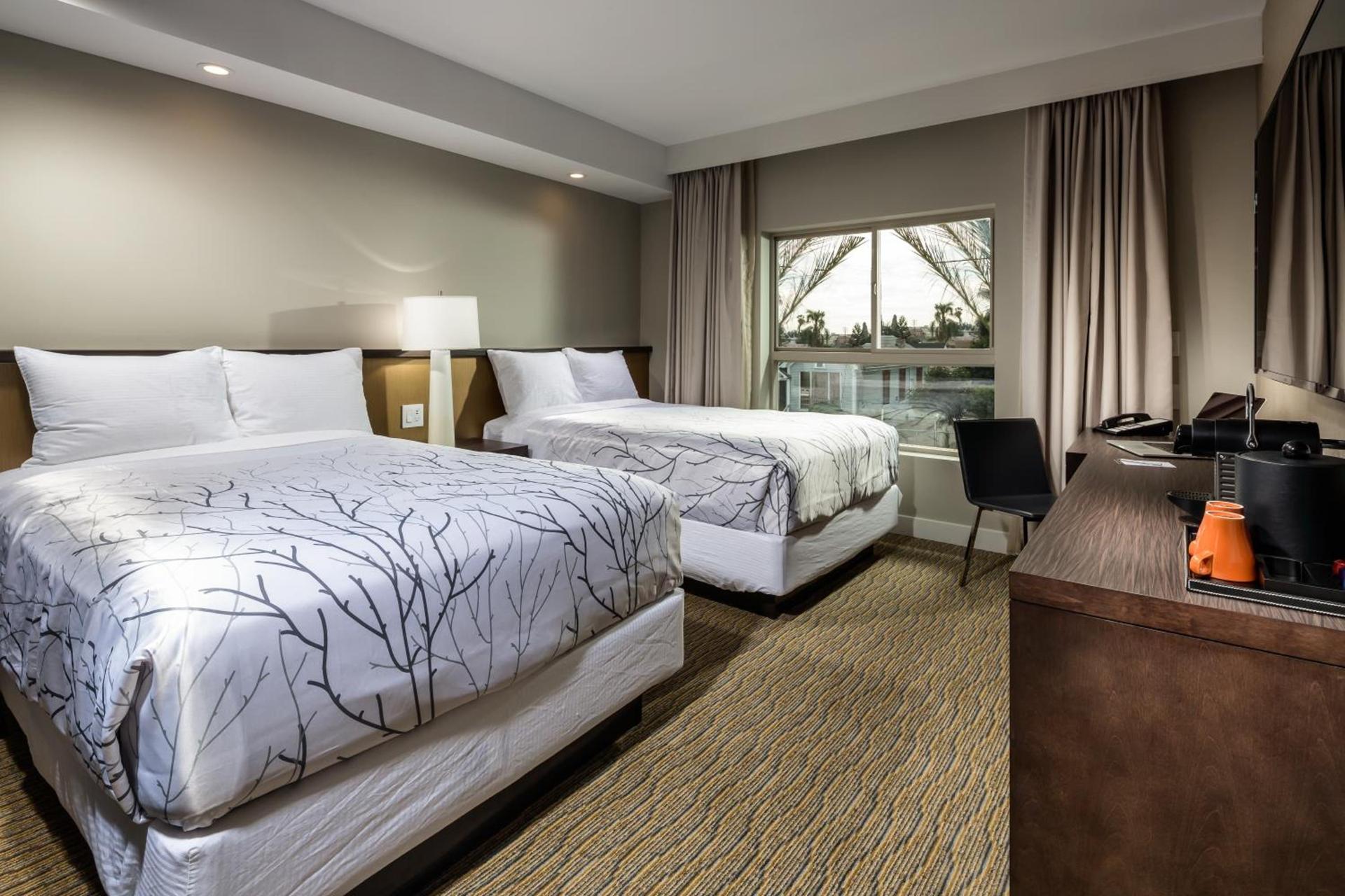 Hotel Aventura photo 5