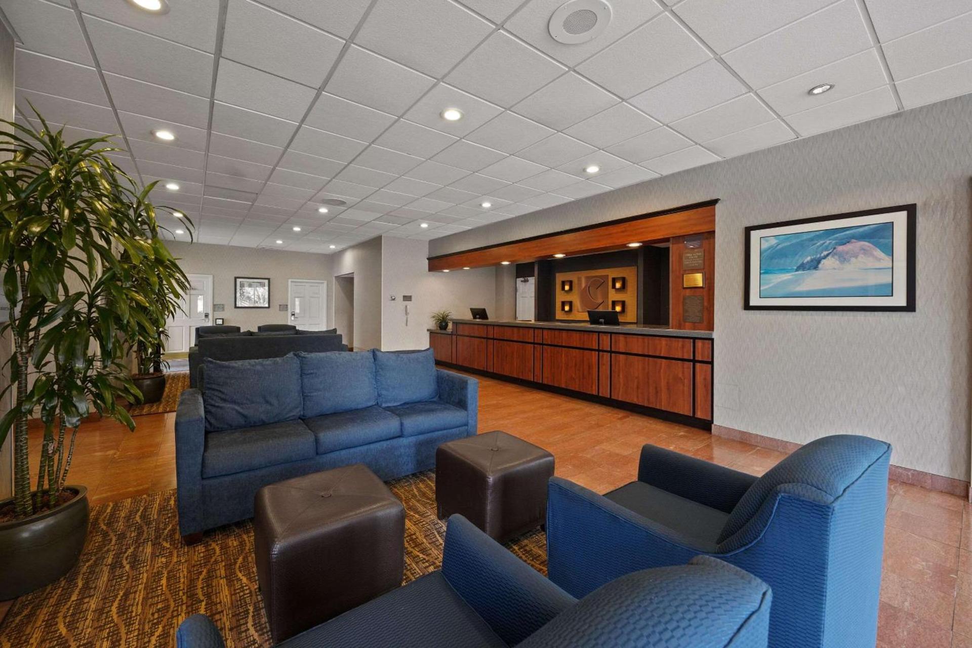 Comfort Inn By the Bay photo 10