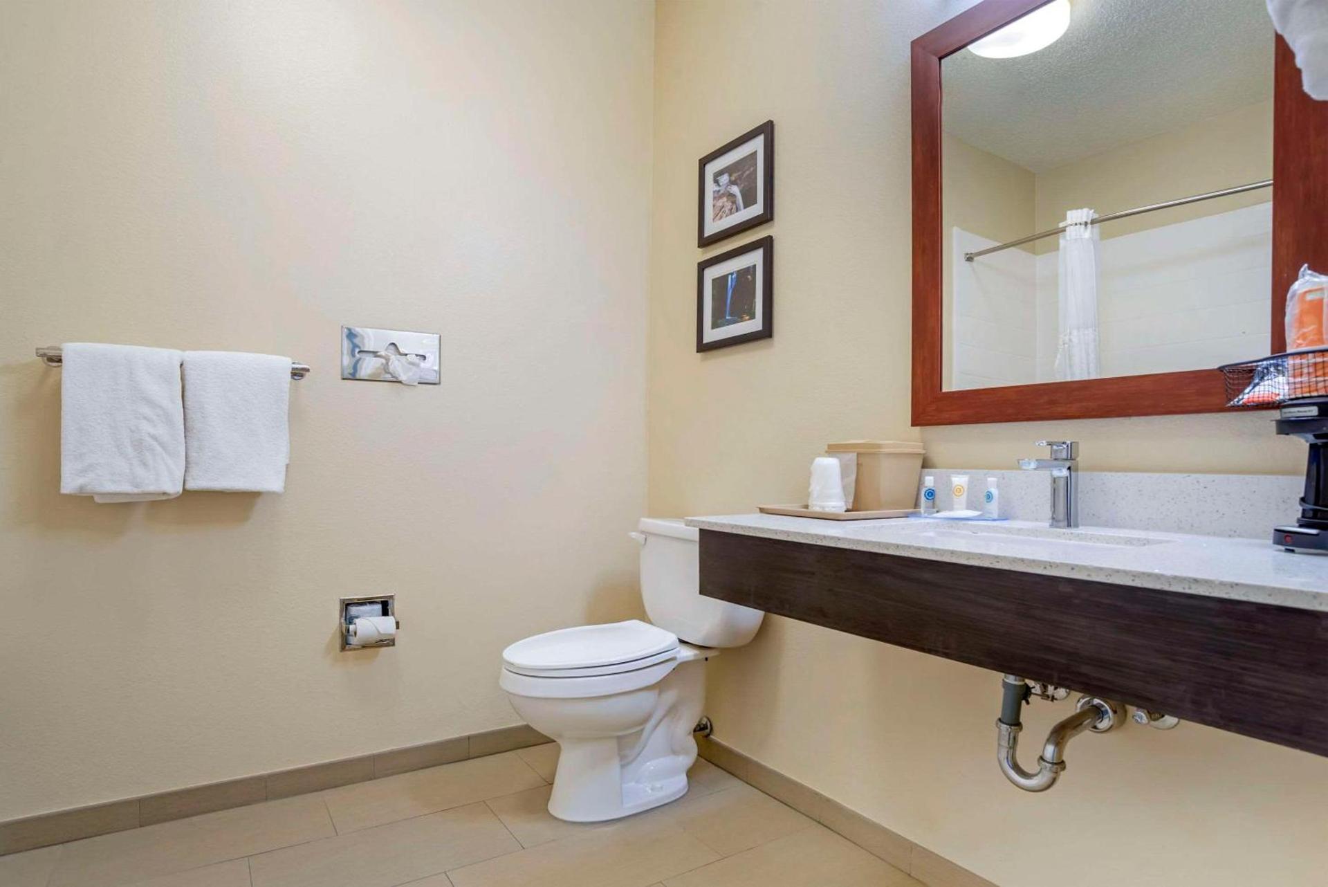 Comfort Inn Greenville I-65 photo 9