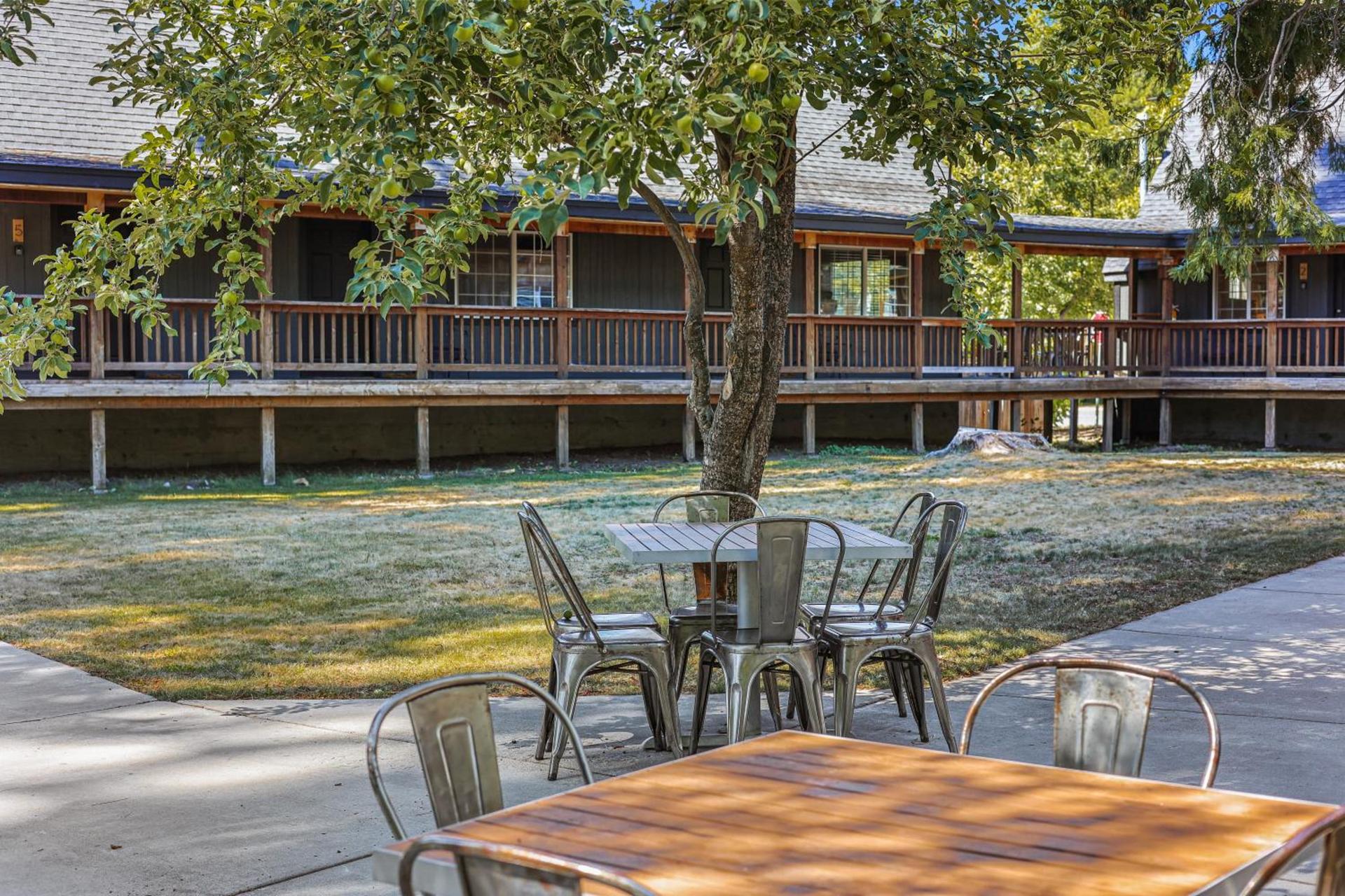 Shasta View Lodge photo 22