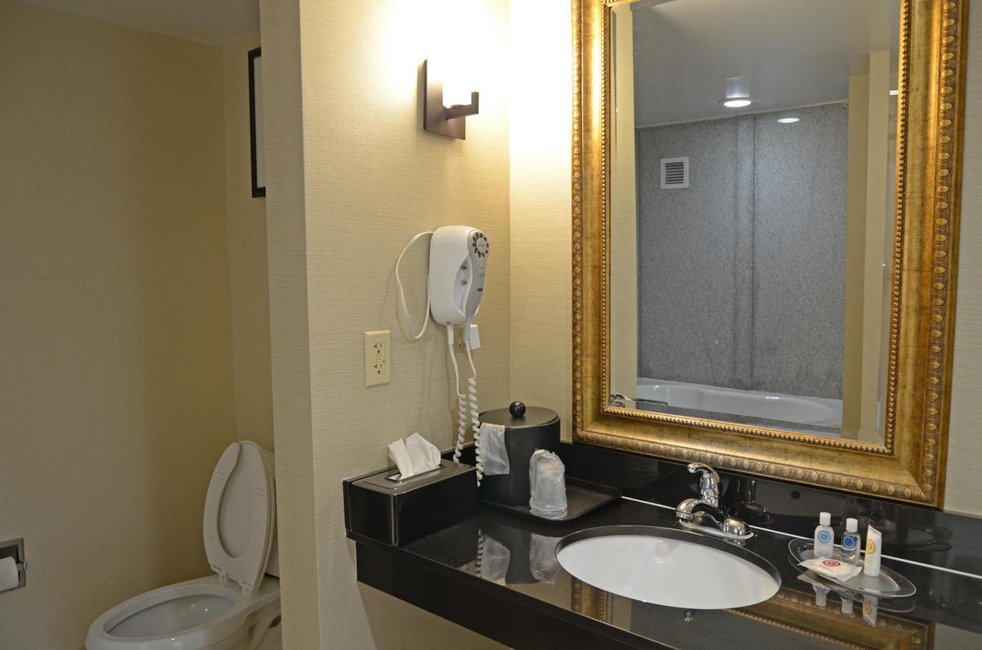 Comfort Suites Salem-Roanoke I-81 photo 23