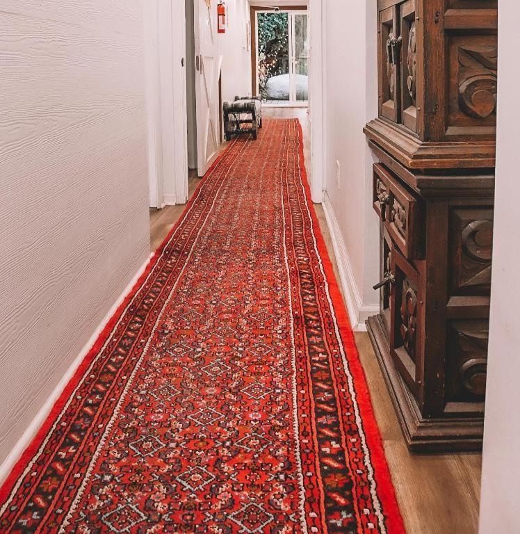 Rumi photo 13